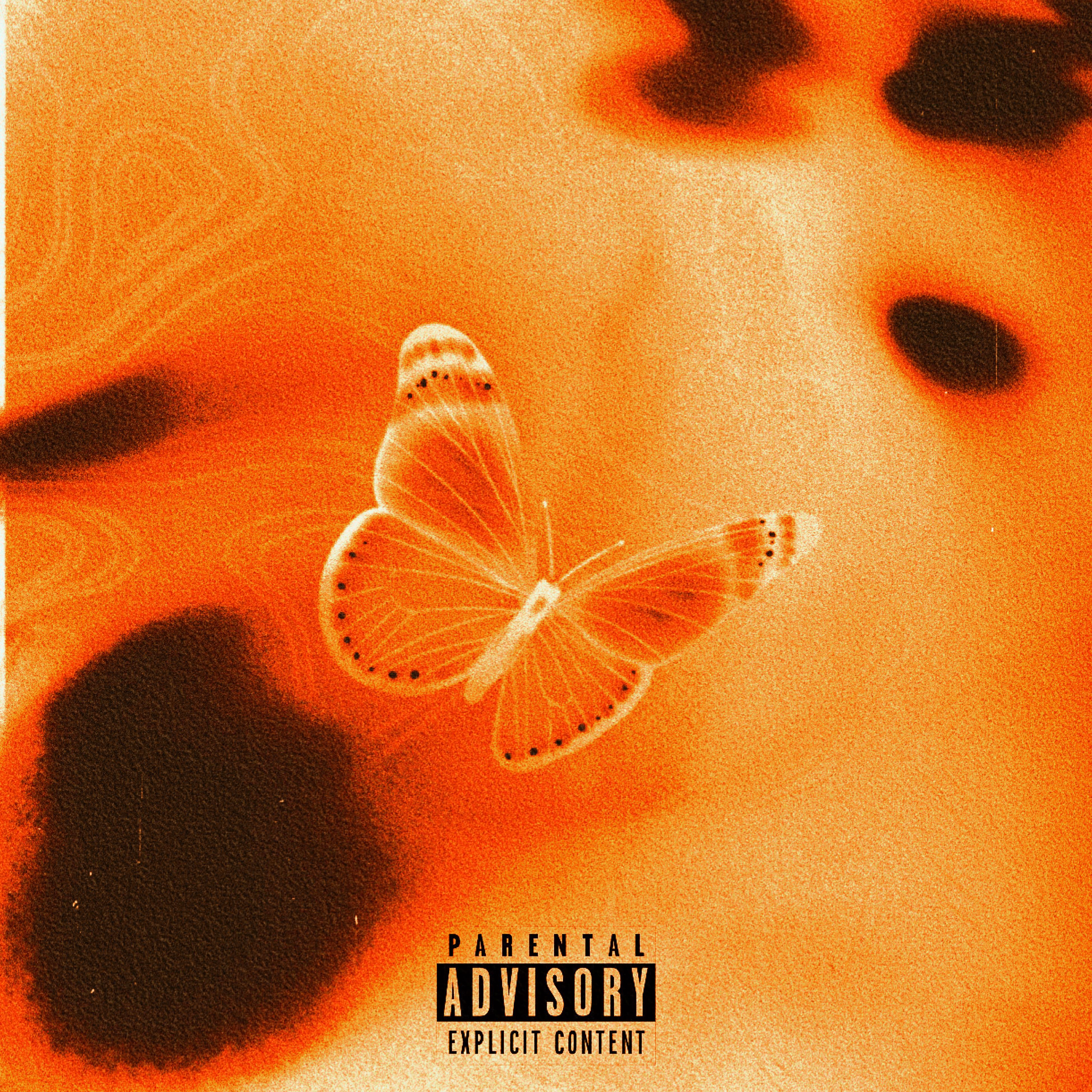 GRDN's CLXB artwork