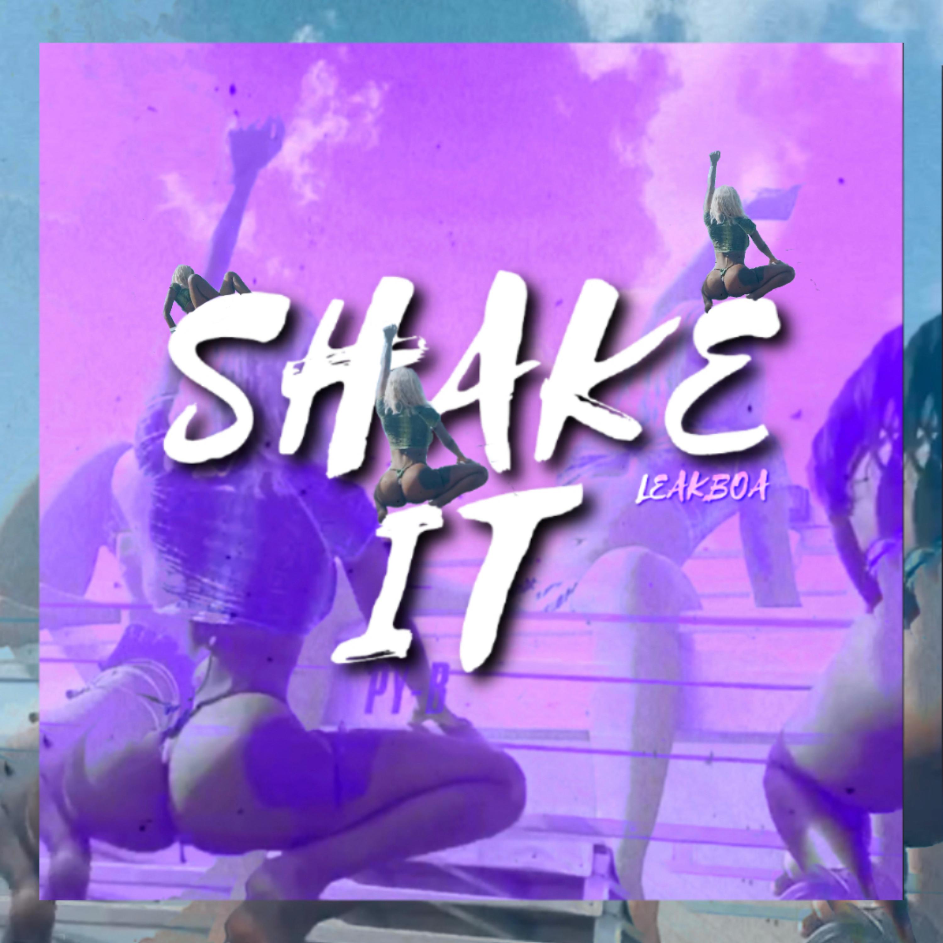 Shake It artwork