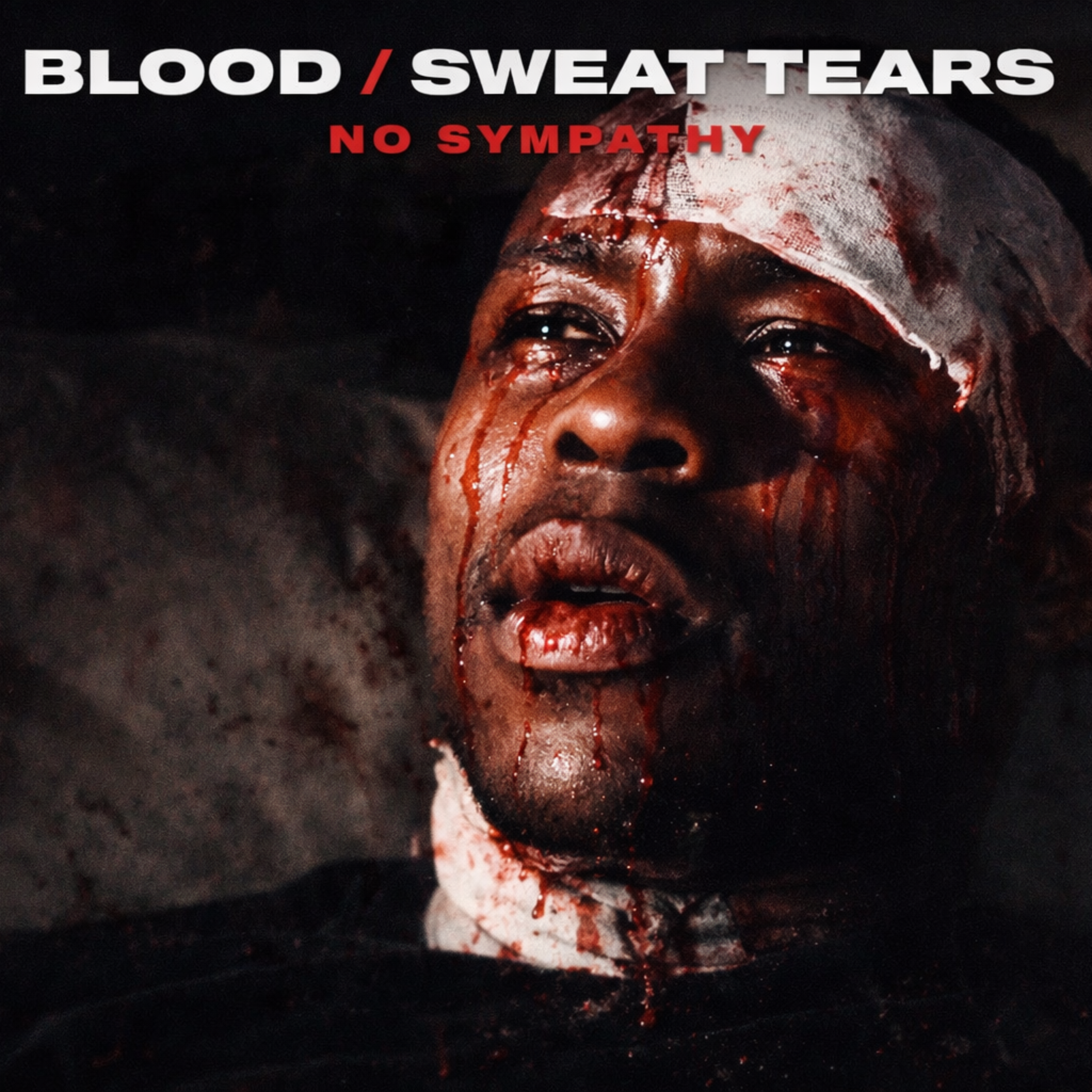 Blood Sweat Tears artwork