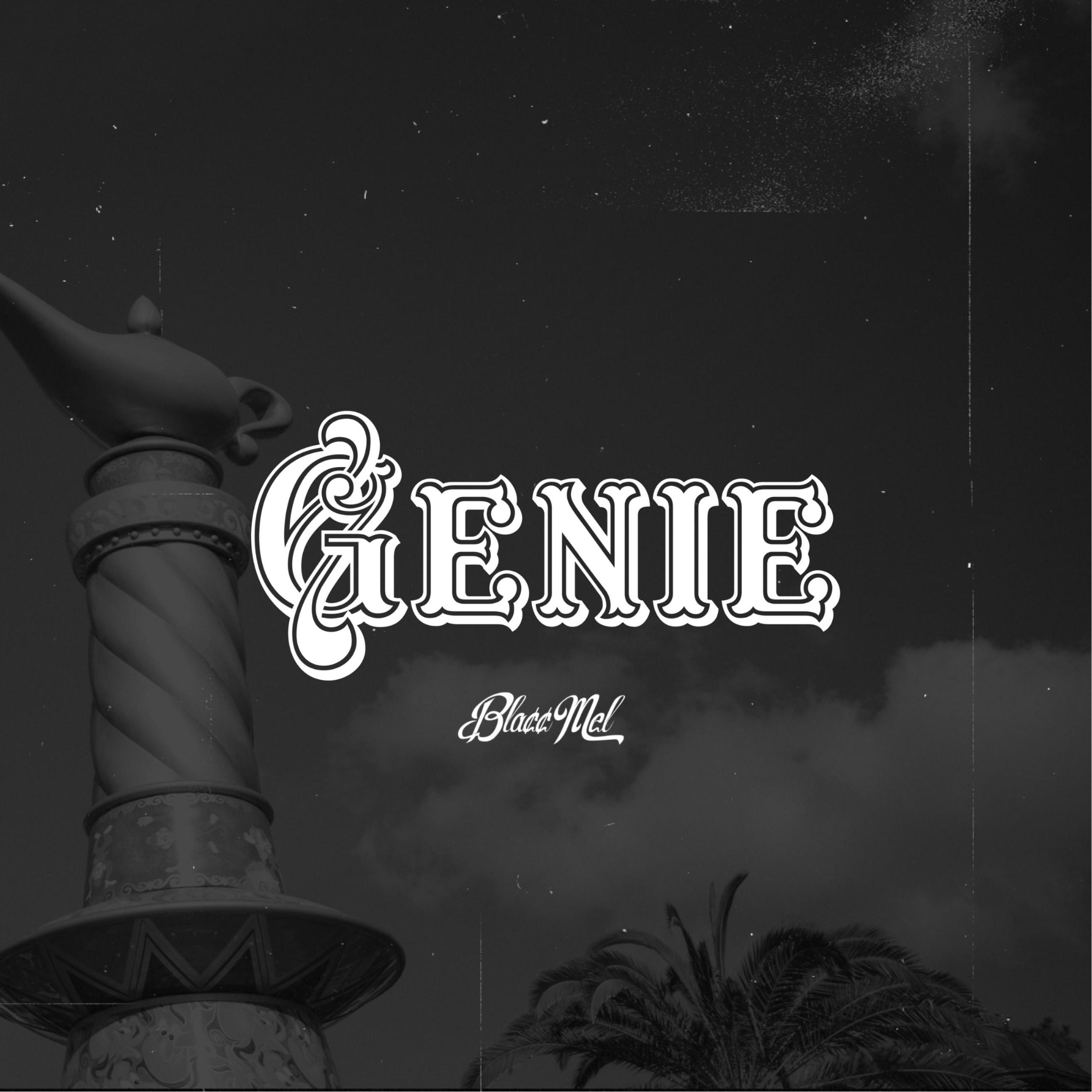 Genie Freestyle artwork