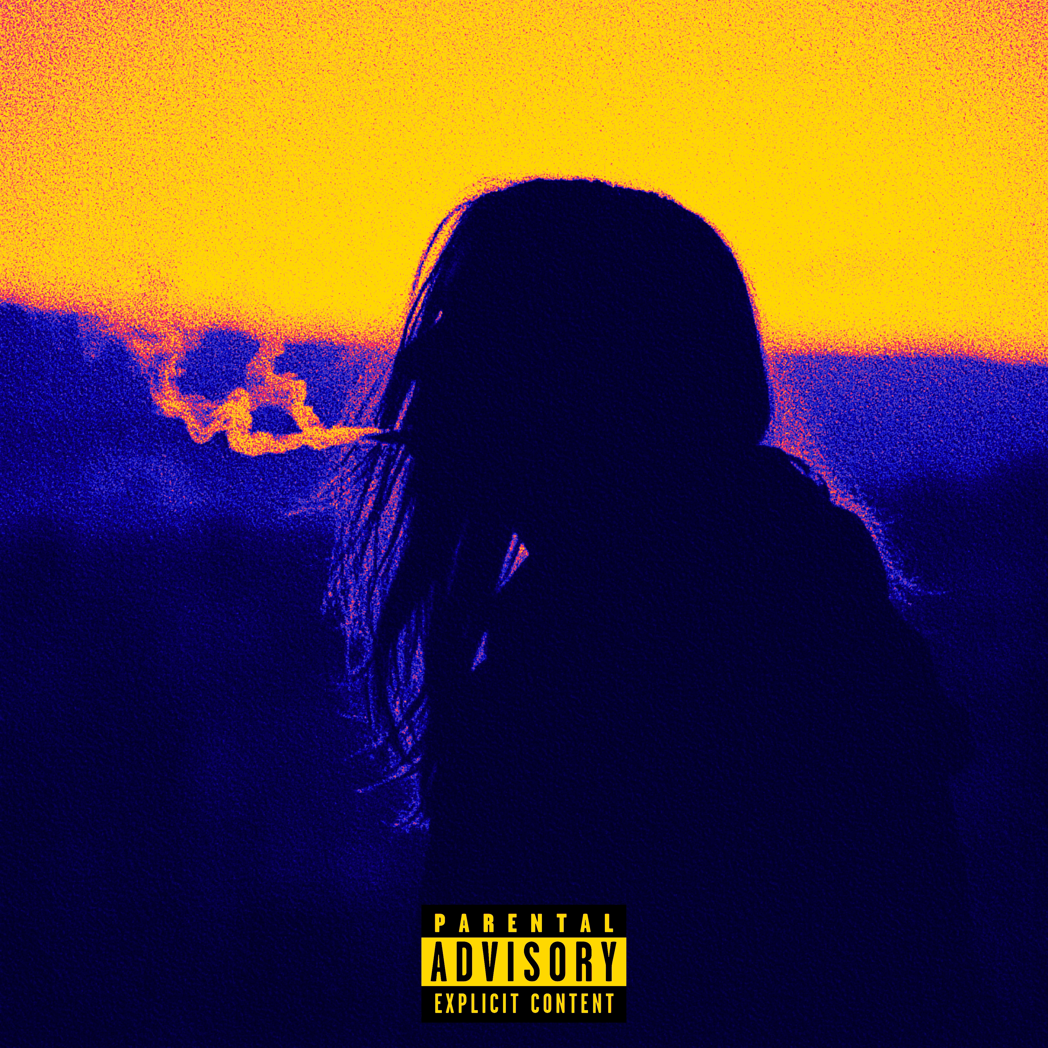 You Guessed It (Screwed & Chopped) artwork
