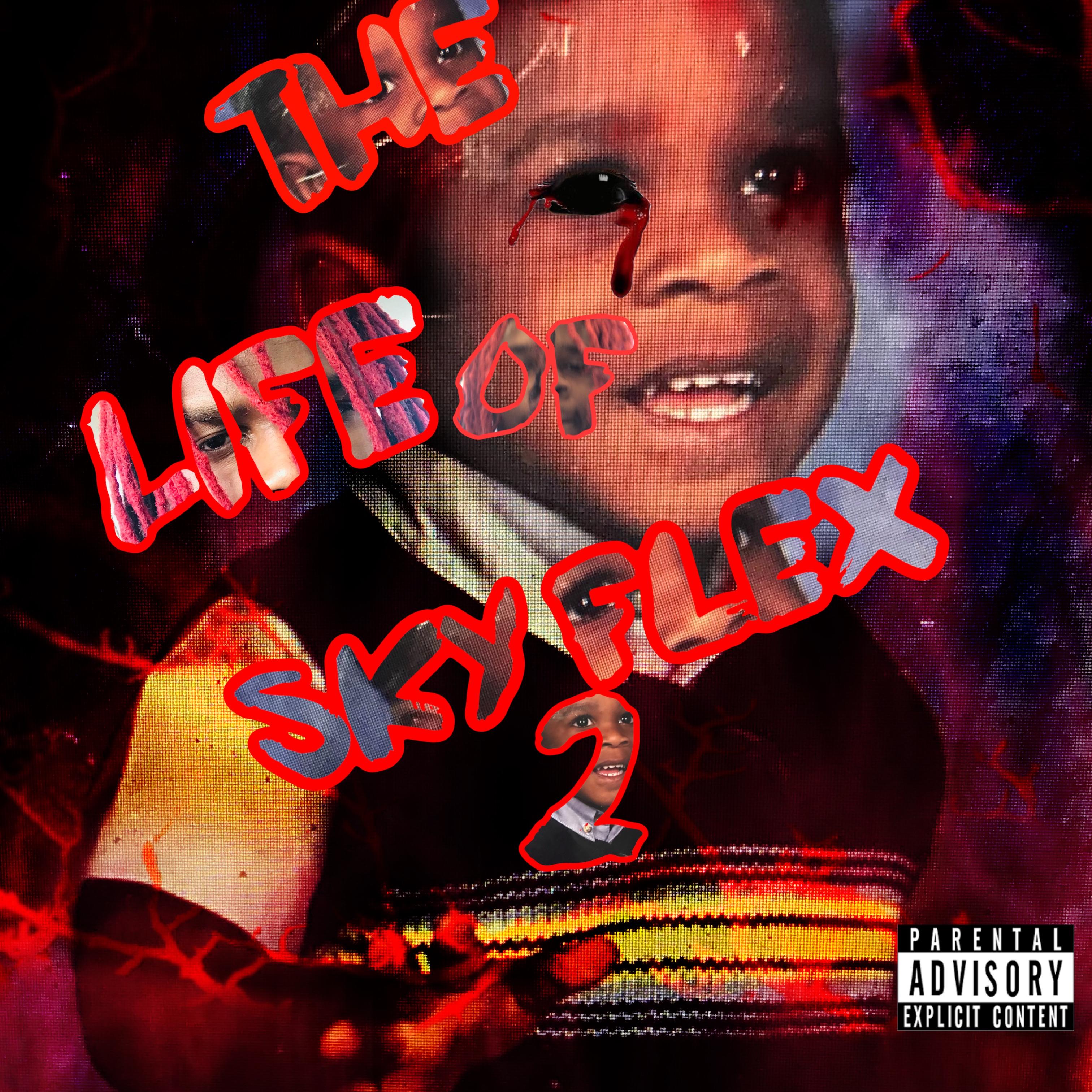 The Life Of Sky Flex (Deluxe) artwork