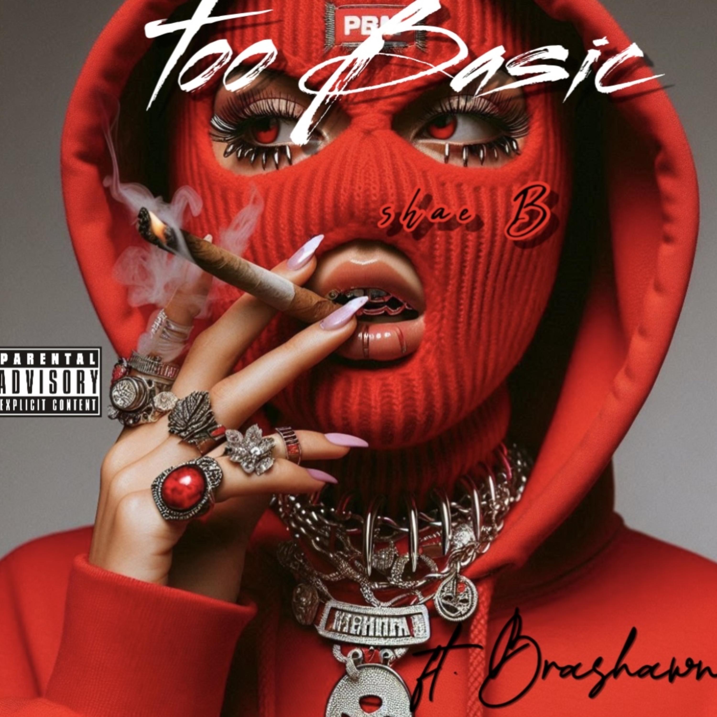 Too Basic by Shae B cover art