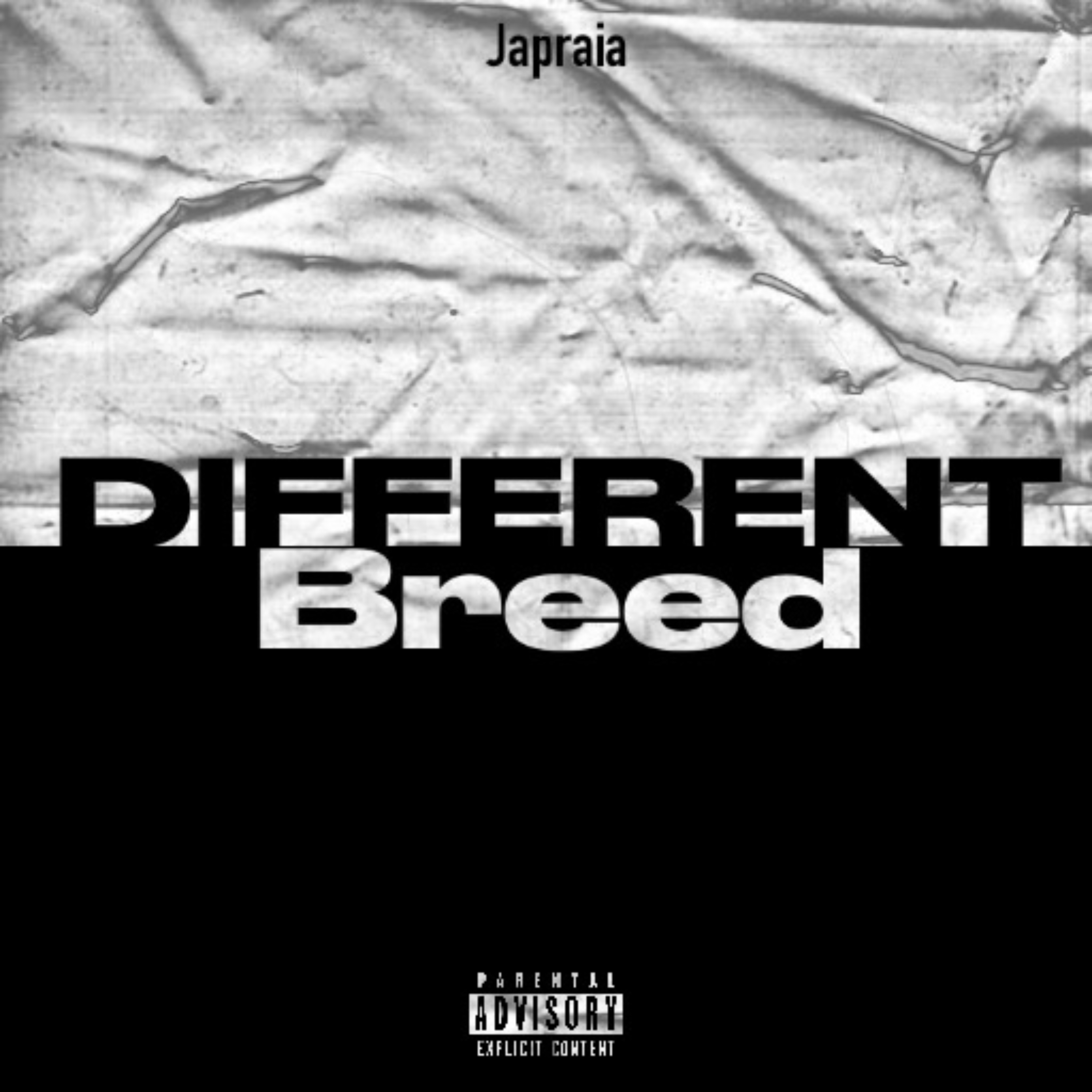 Different Breed artwork