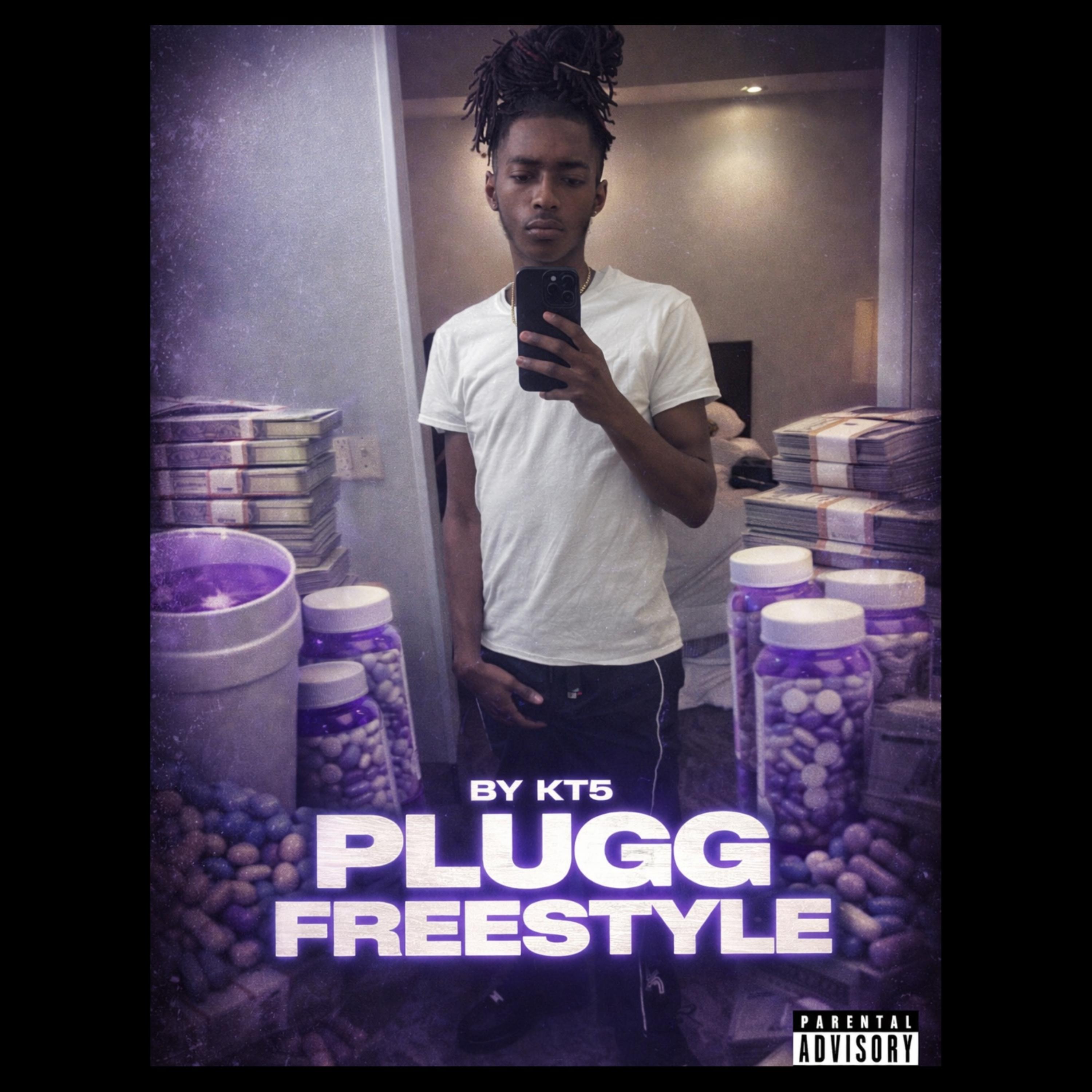 Plugg Freestyle artwork