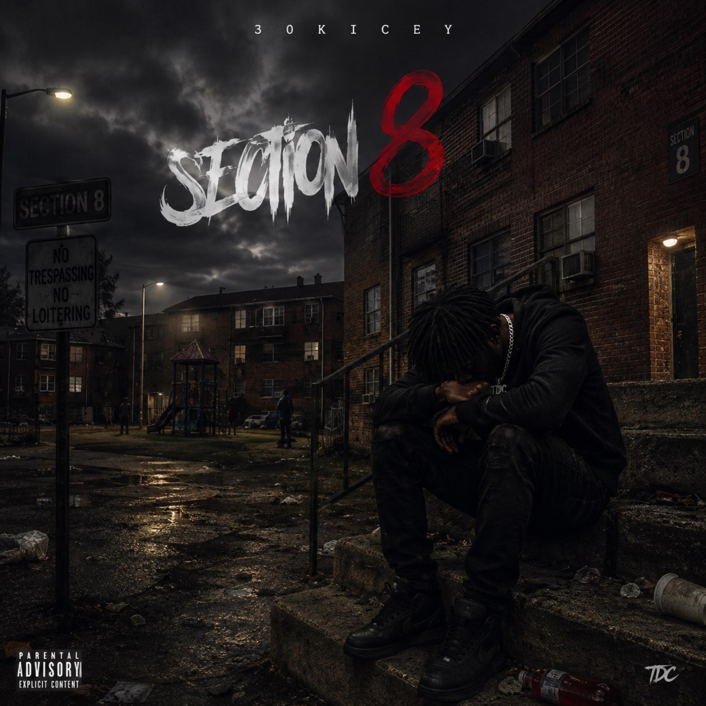 SECTION8 by 30kicey cover art