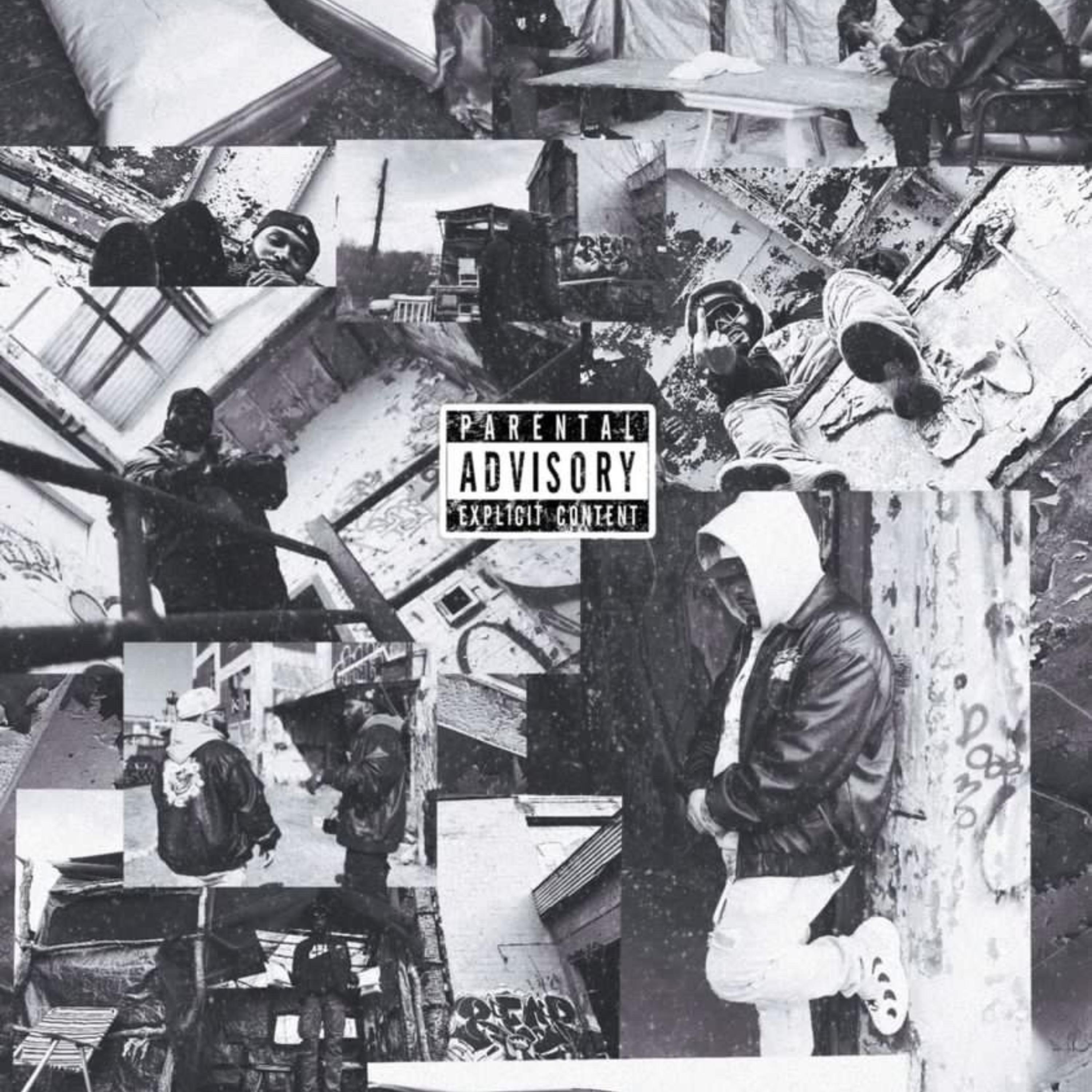 Polo Chin Chilla (remix) artwork