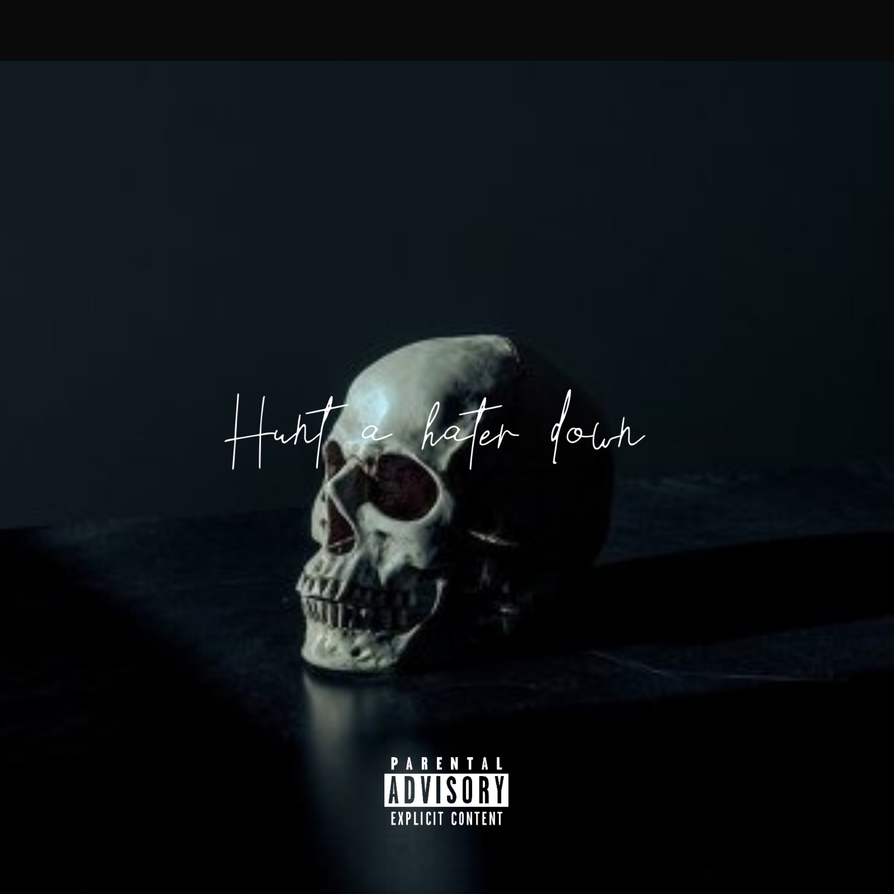 hunt a hater down artwork