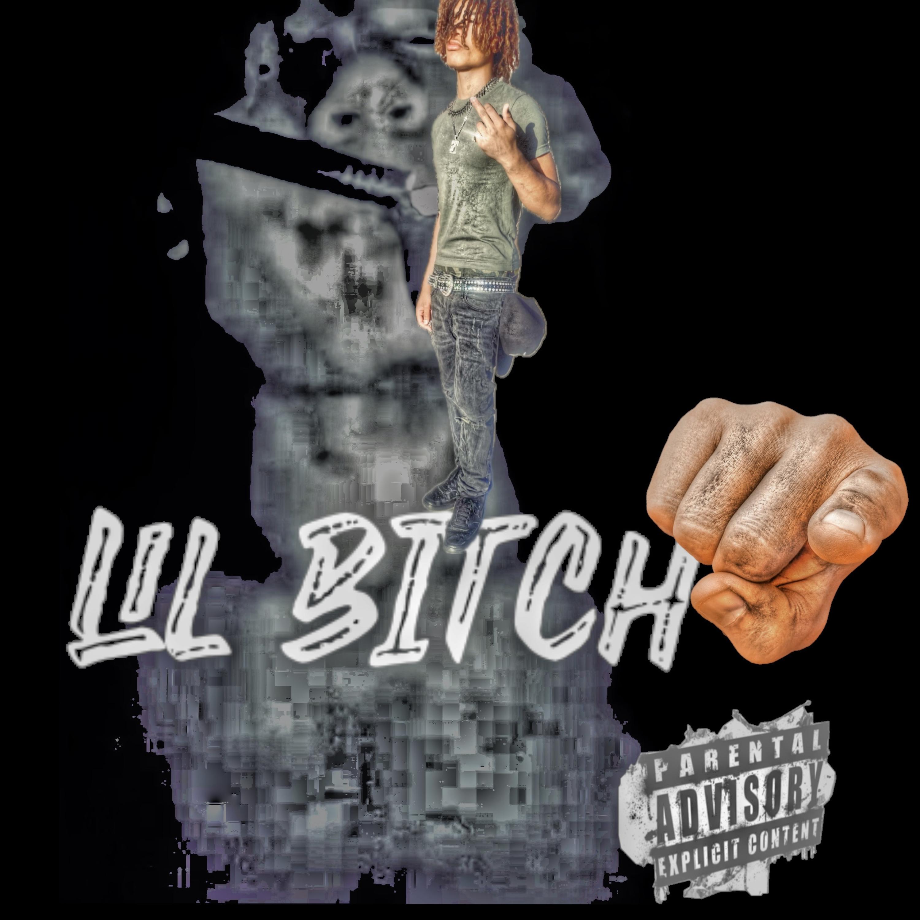LIL BITCH artwork
