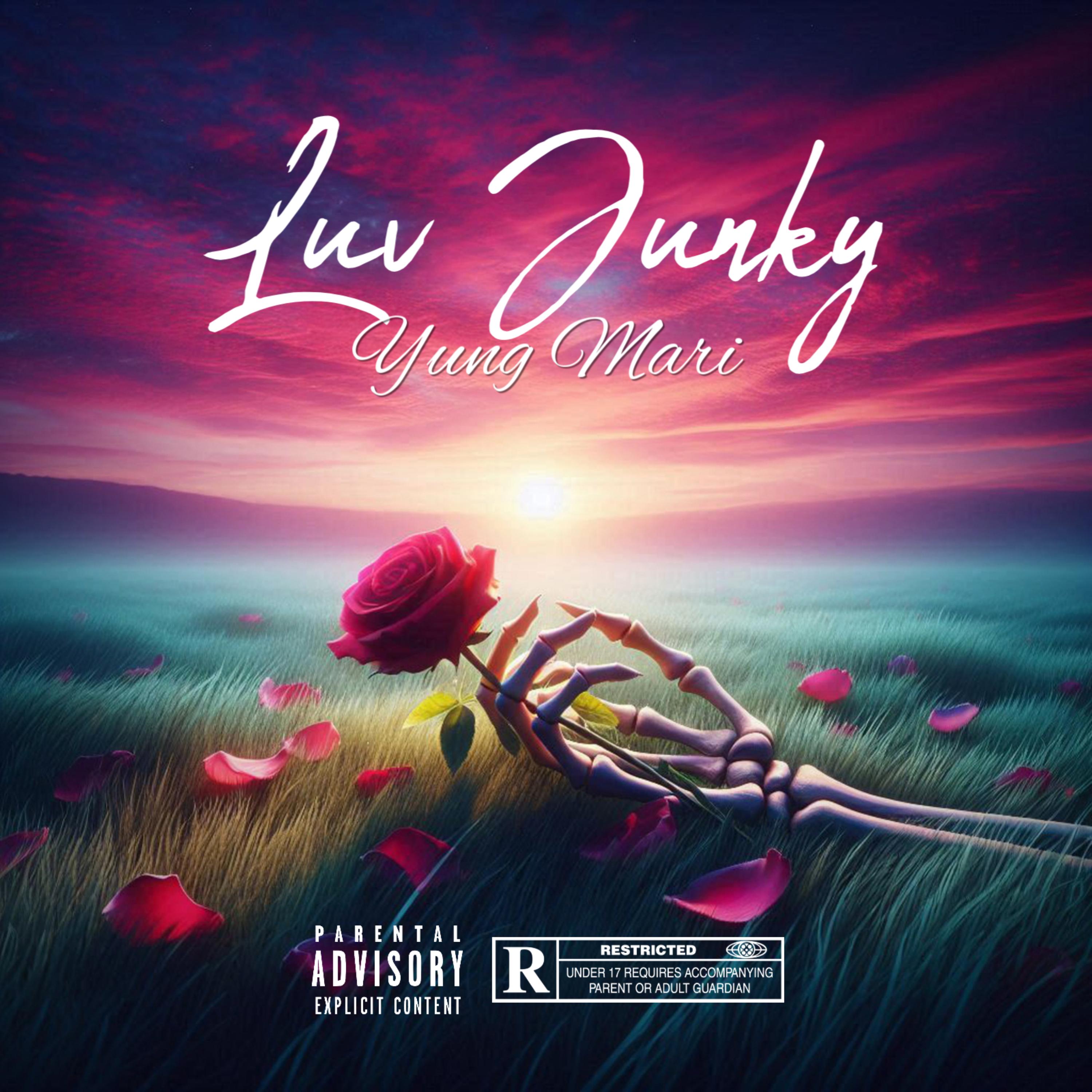 Luv Junky artwork