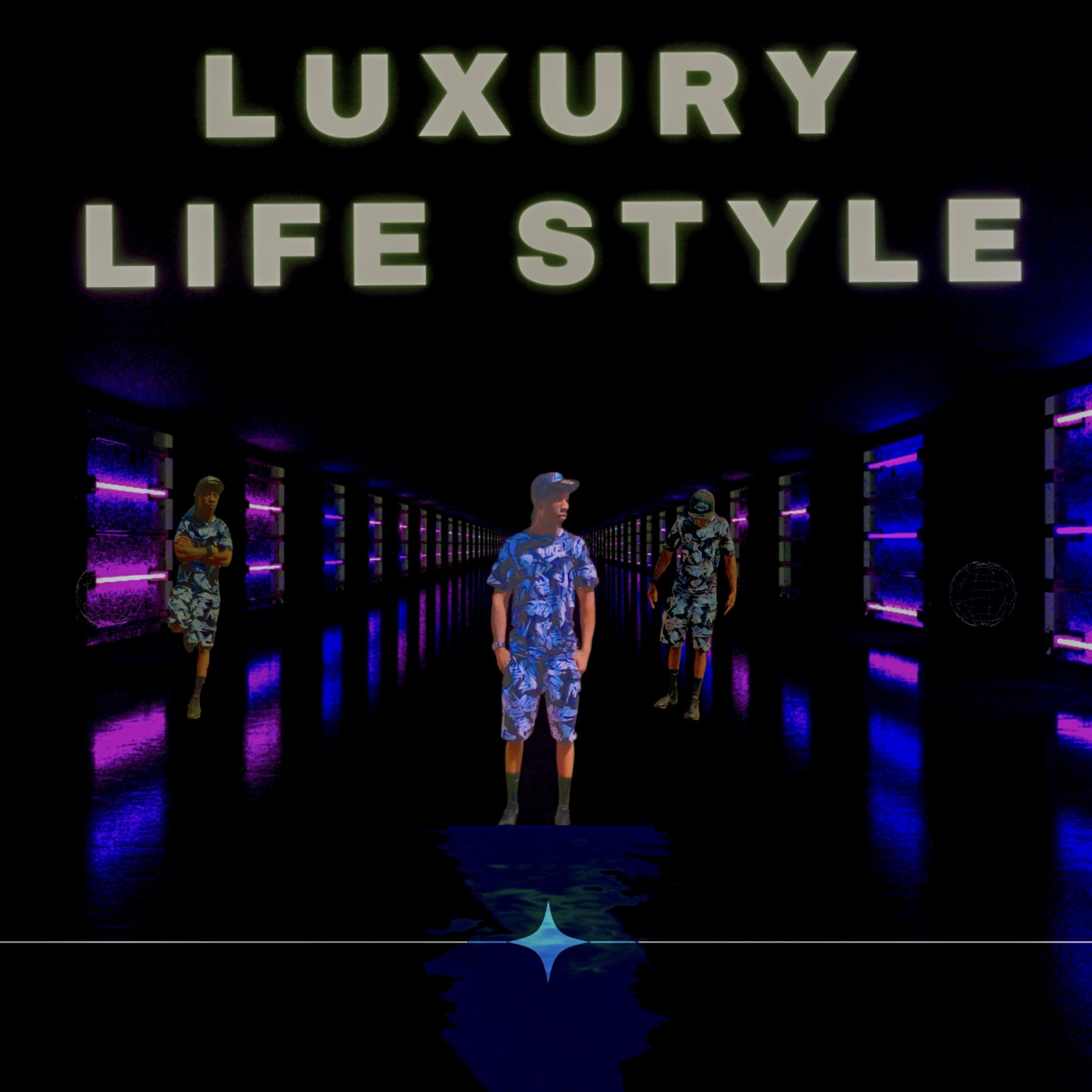 Luxury Life Style artwork