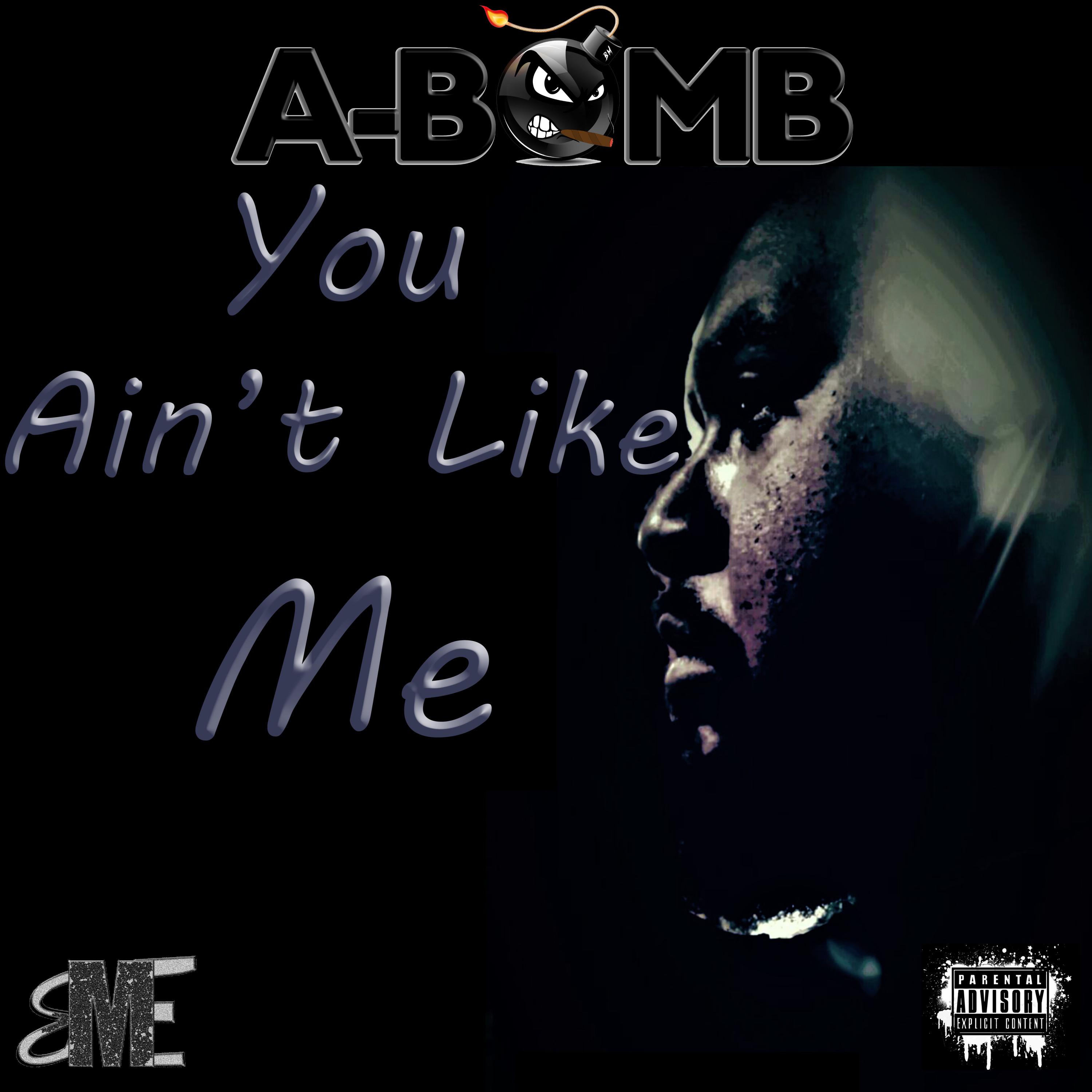 You Ain't Like Me artwork