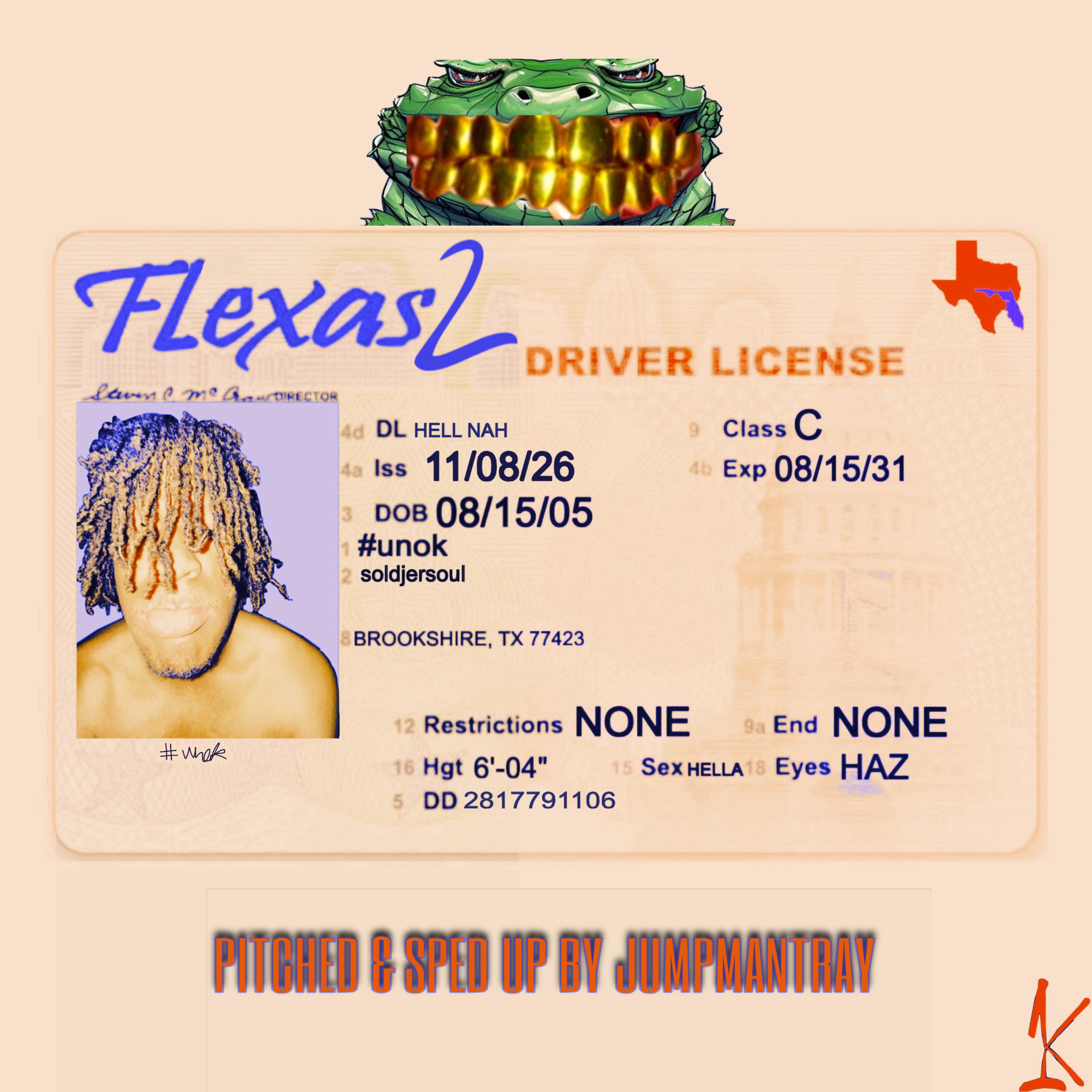 flexas2 [florida edition] by unok cover art