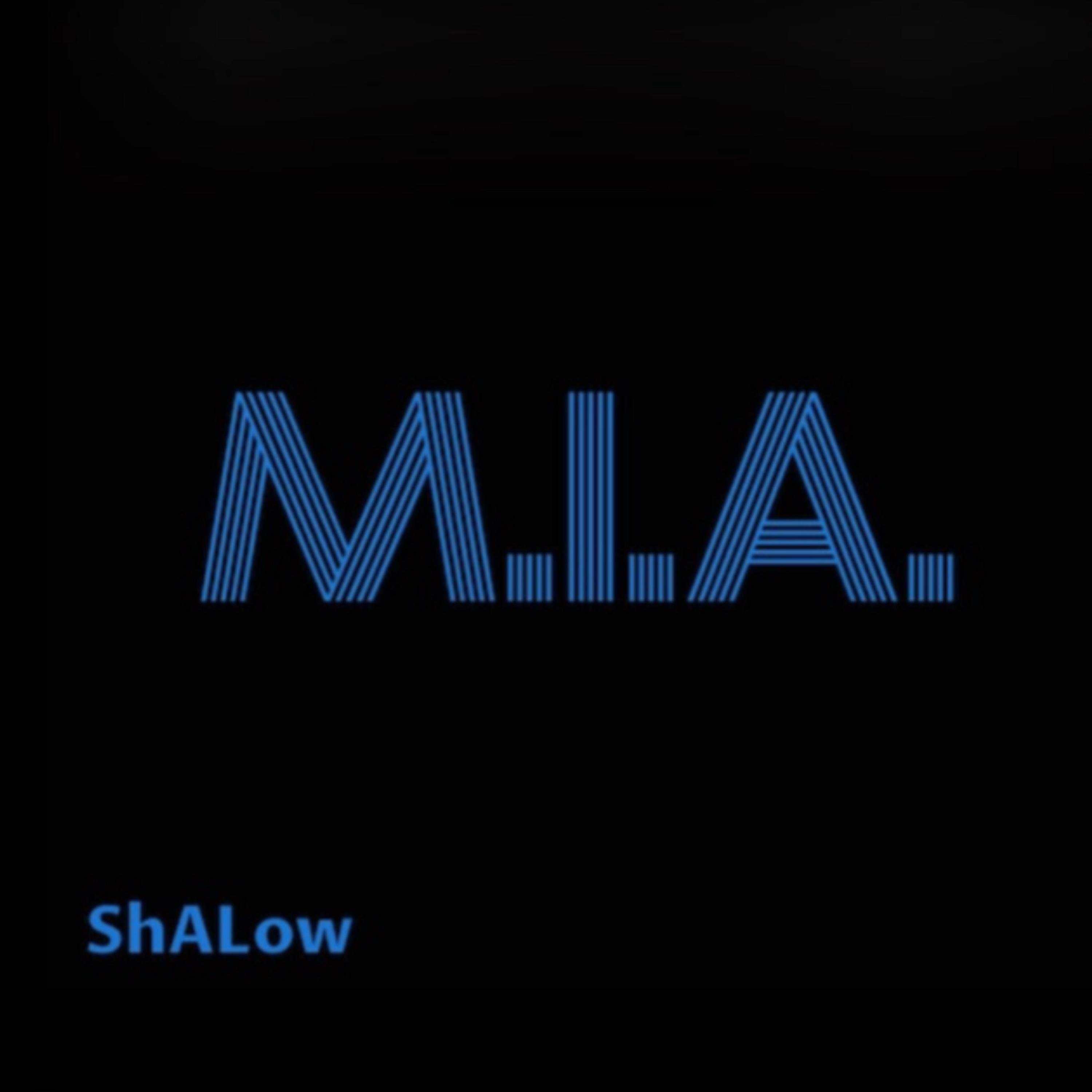 MISSING IN ACTION artwork