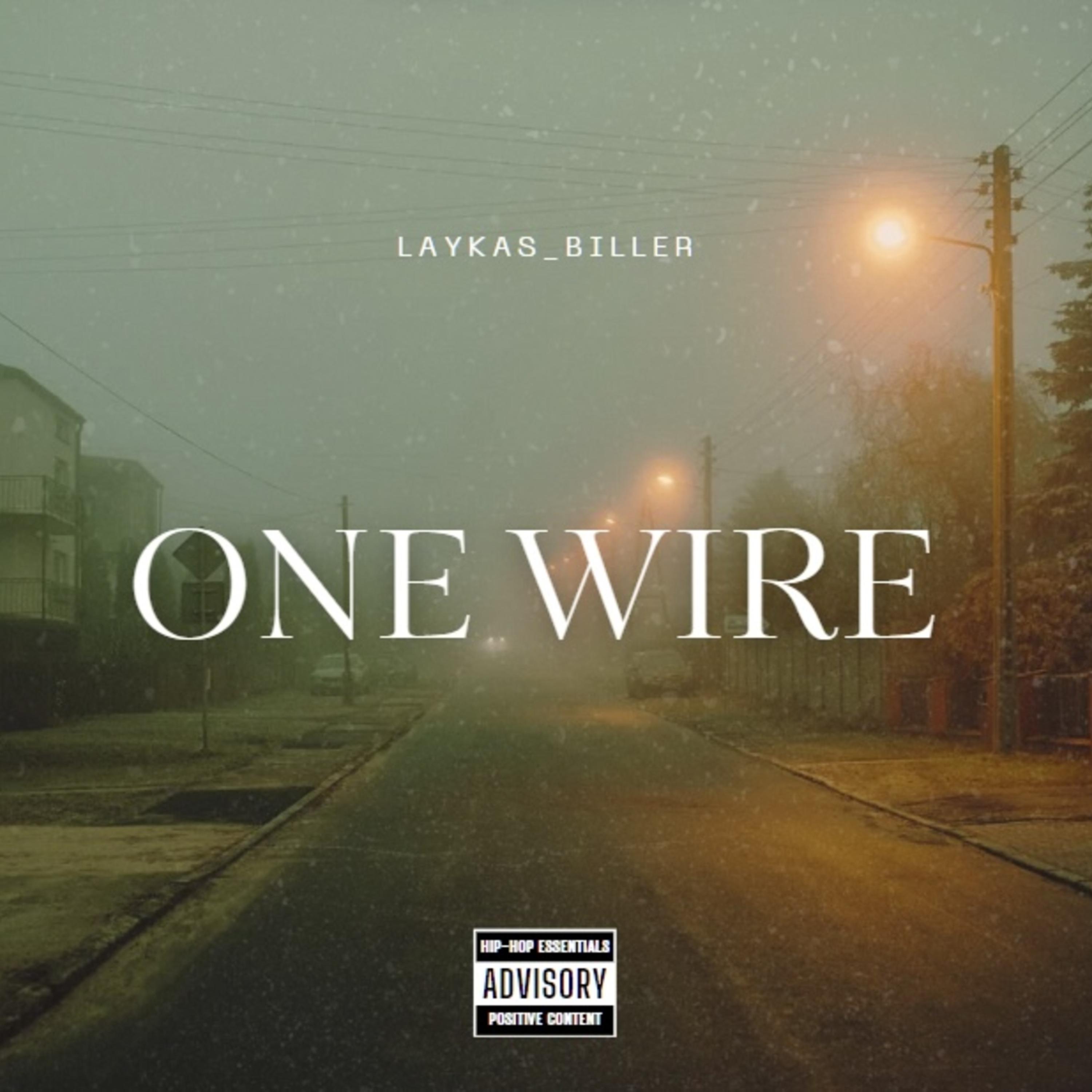 ONE WIRE artwork