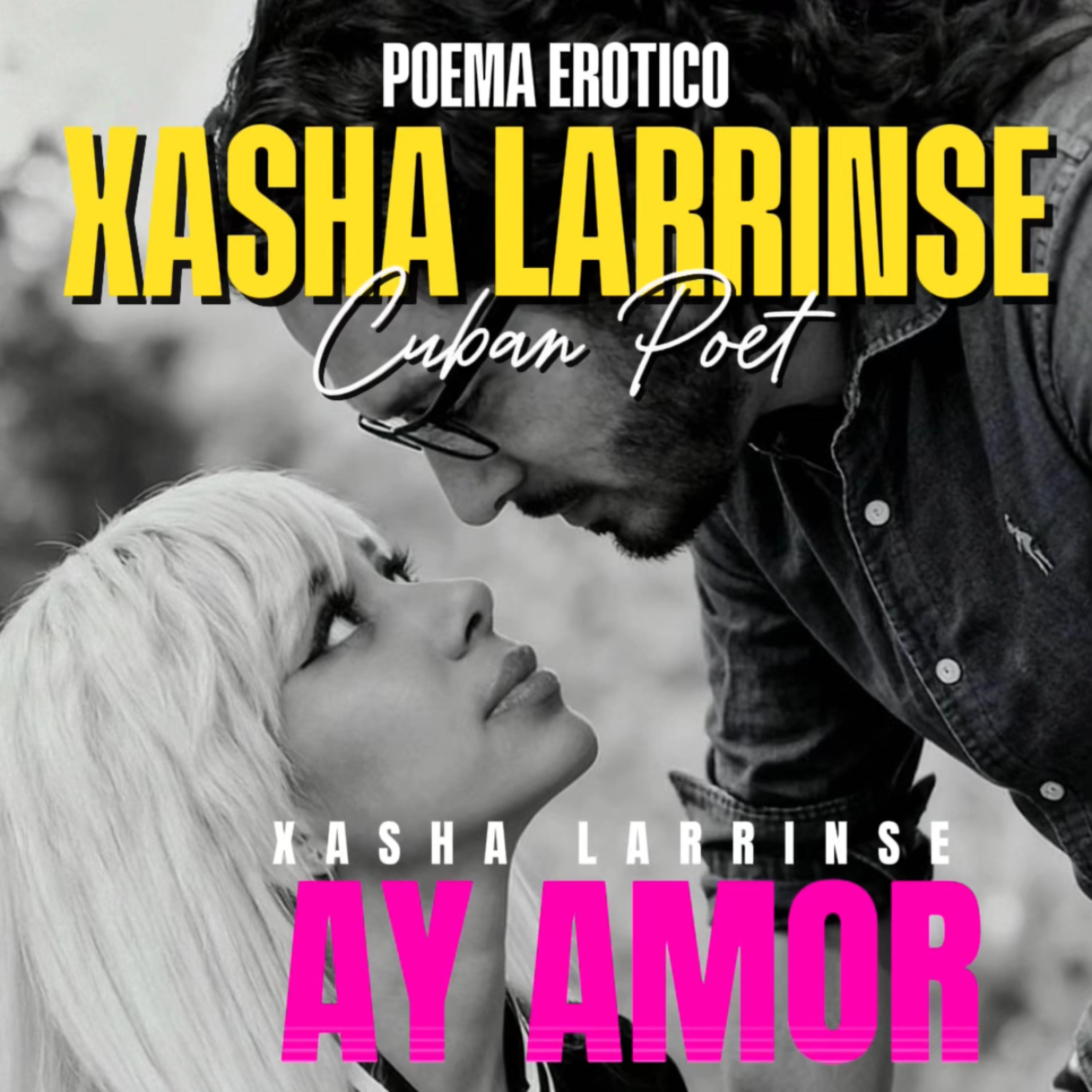 AY AMOR (Poema Erotico) artwork