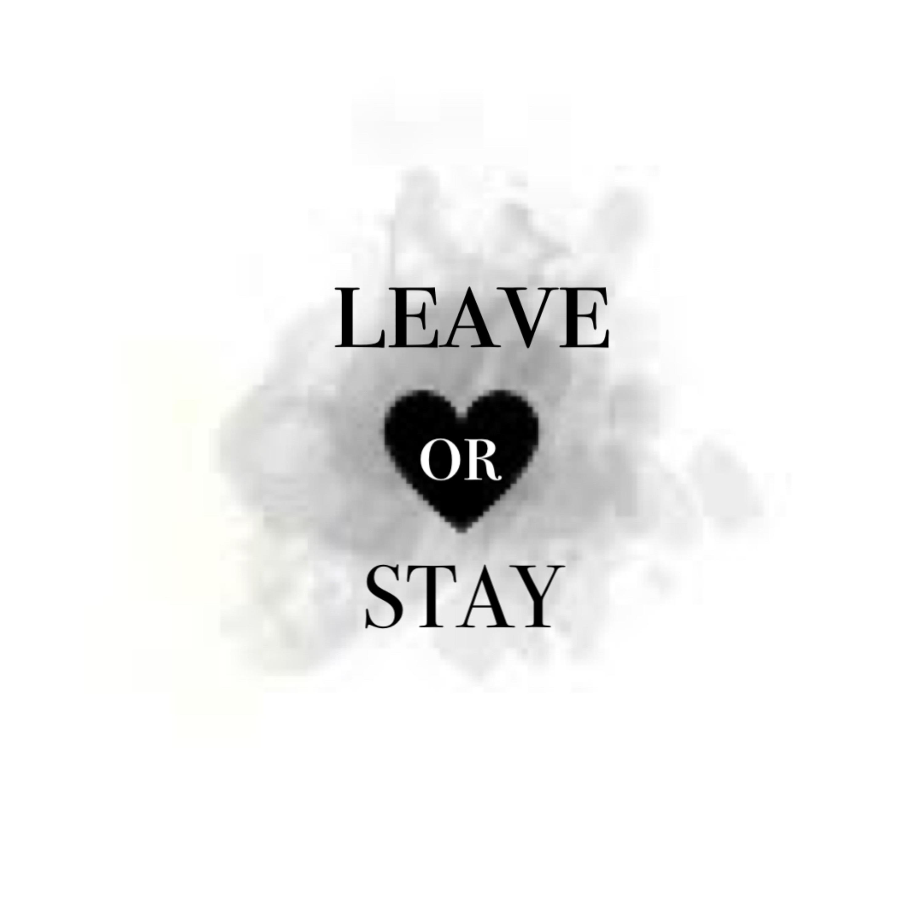 Leave Or Stay artwork