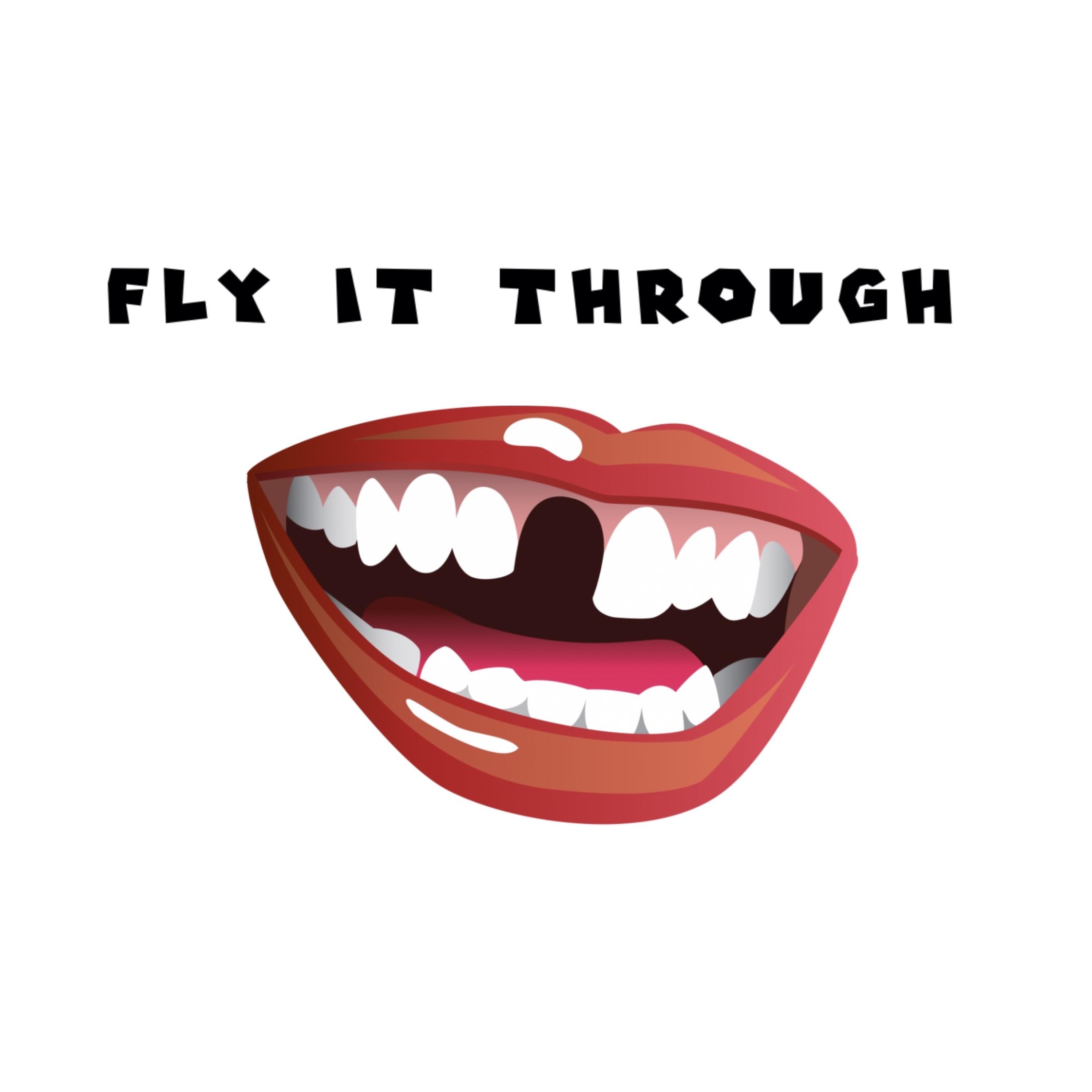 Fly It Through artwork