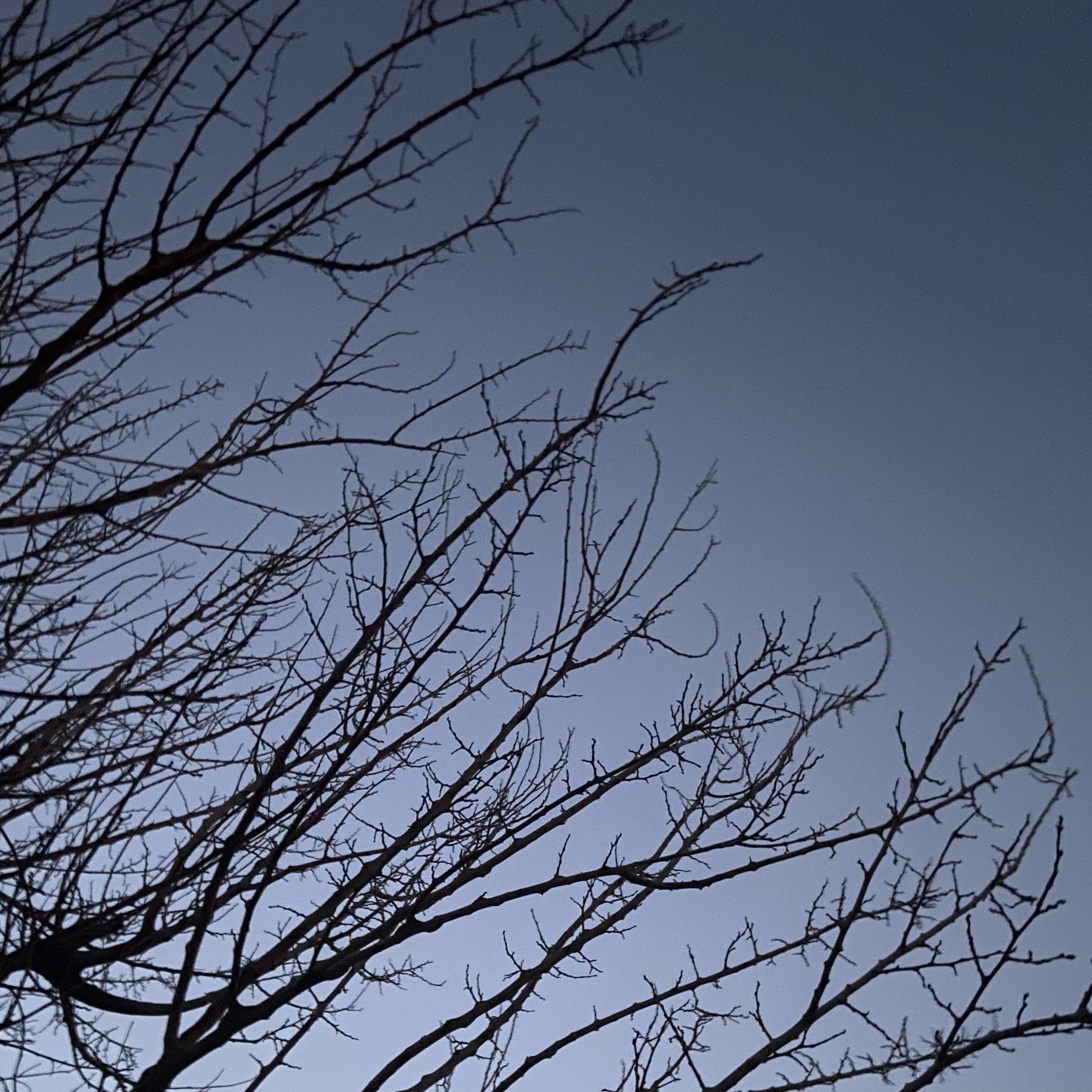 NOT MY FAULT artwork