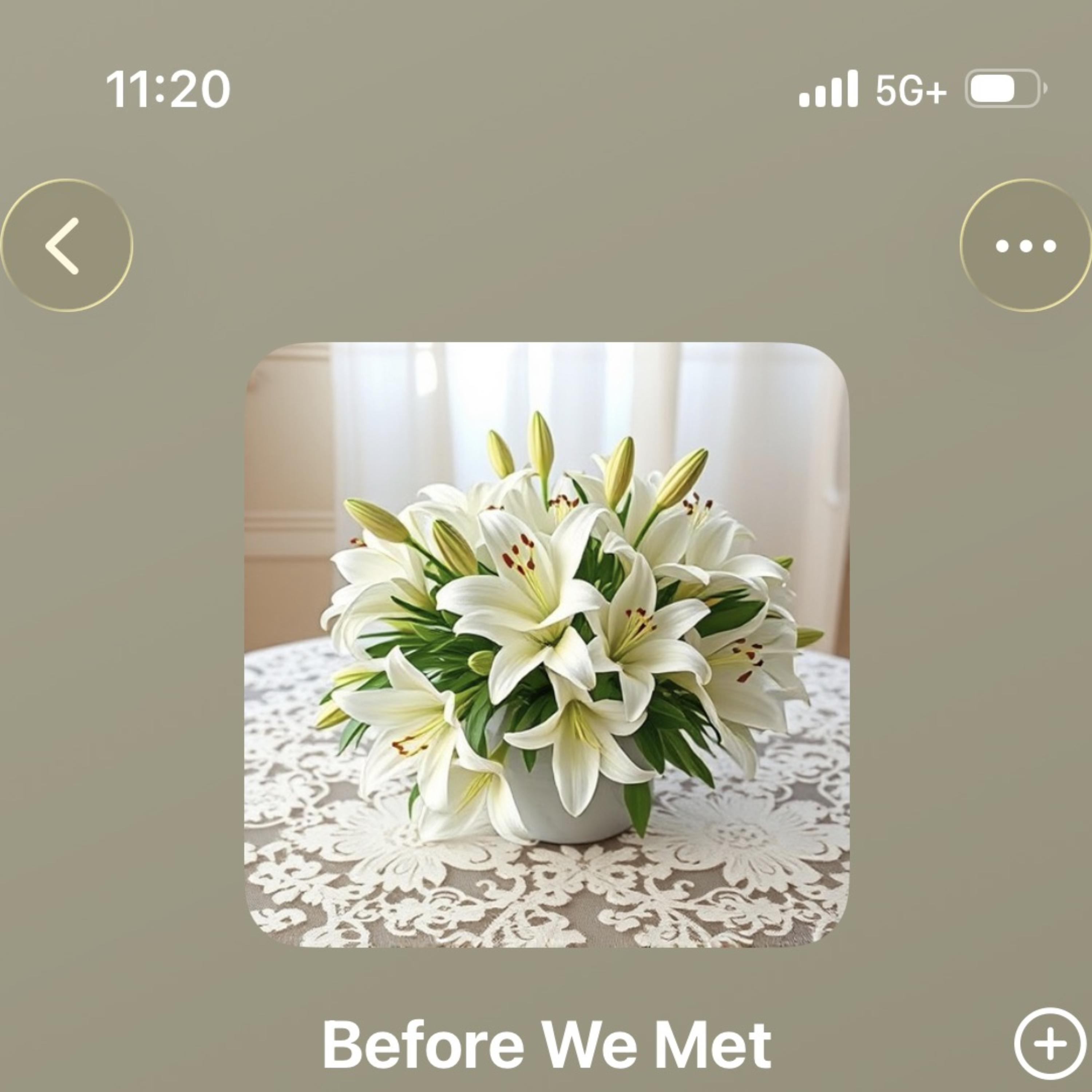 Before We Met artwork