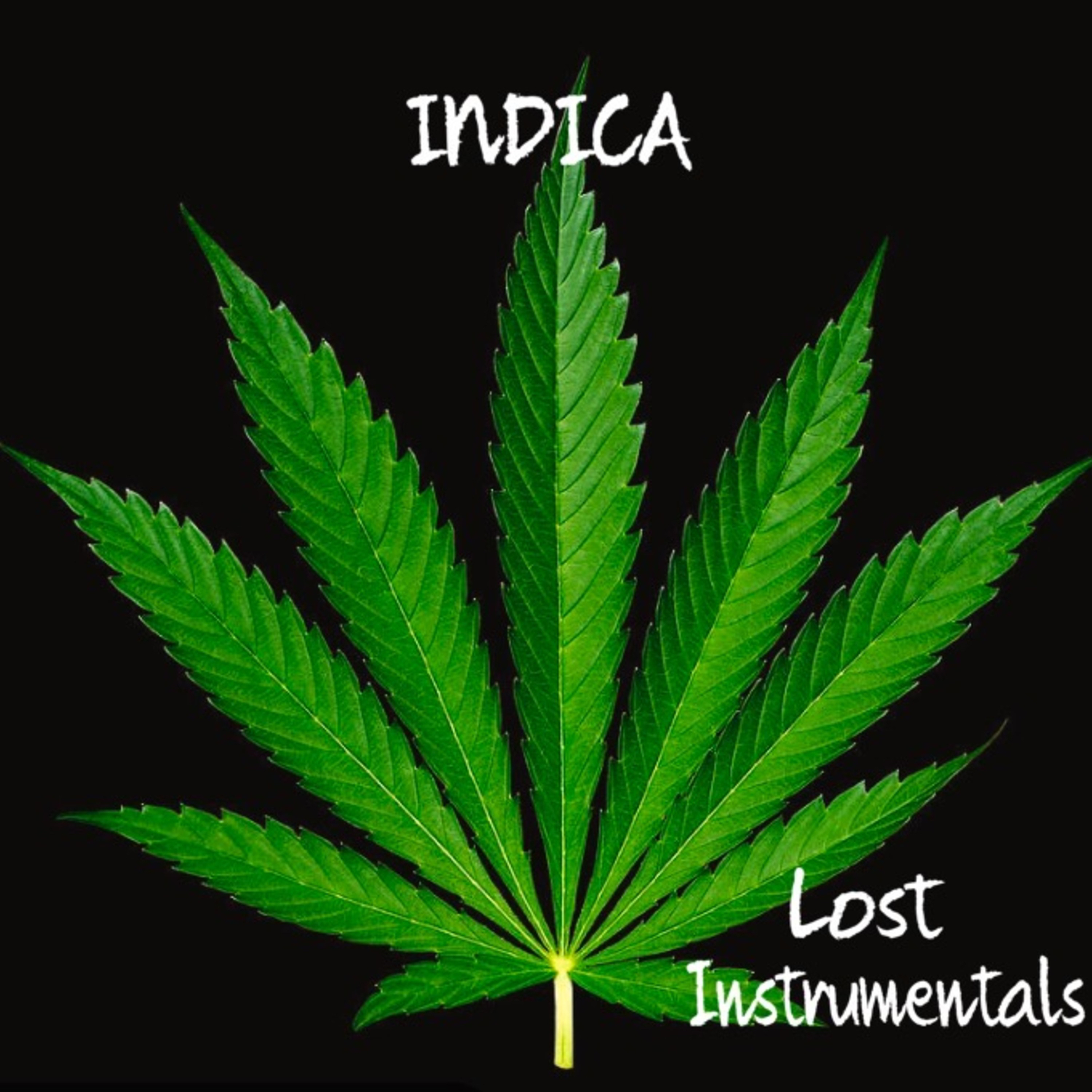 INDICA LOST INSTRUMENTALS artwork