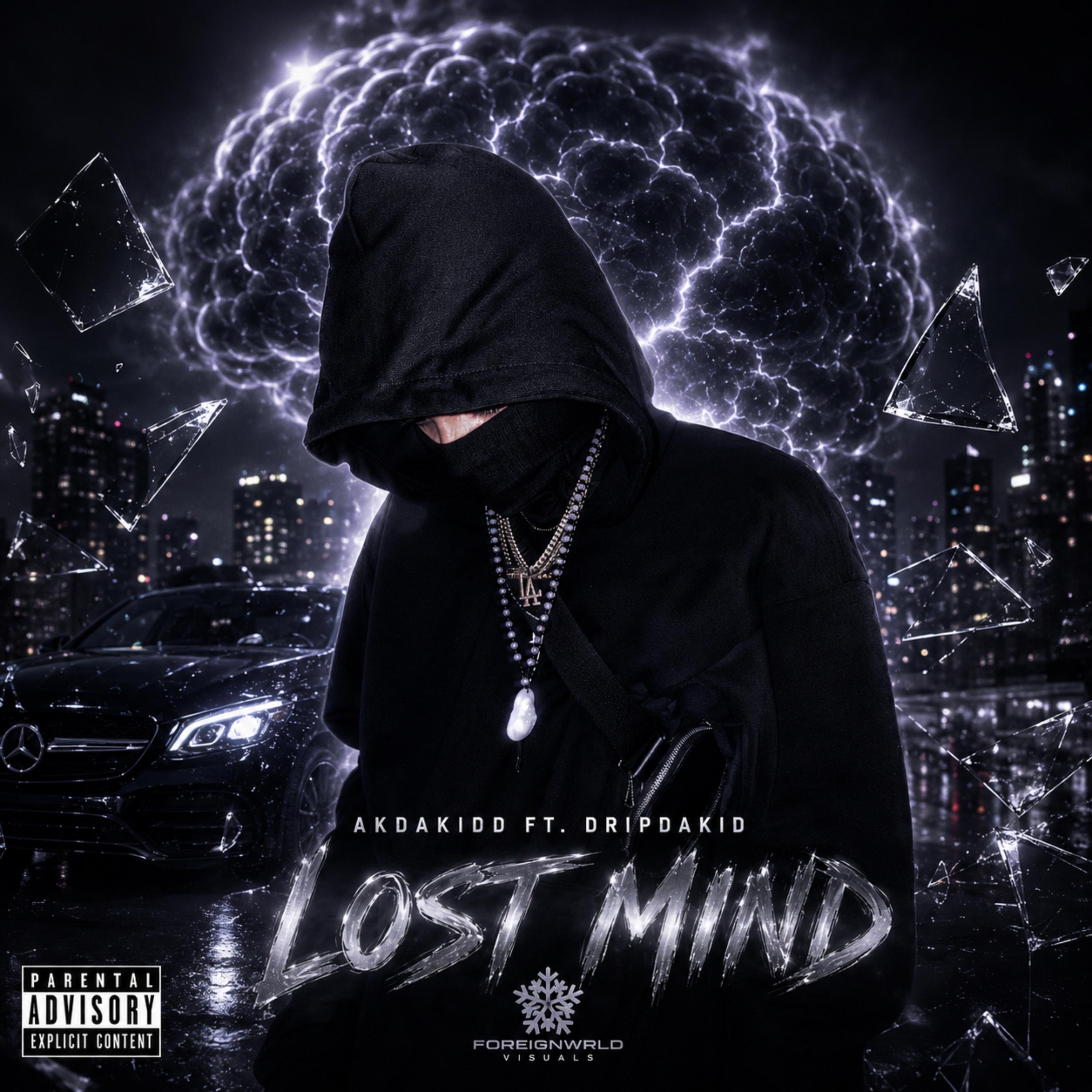 Lost Mind by AKDAKIDD cover art
