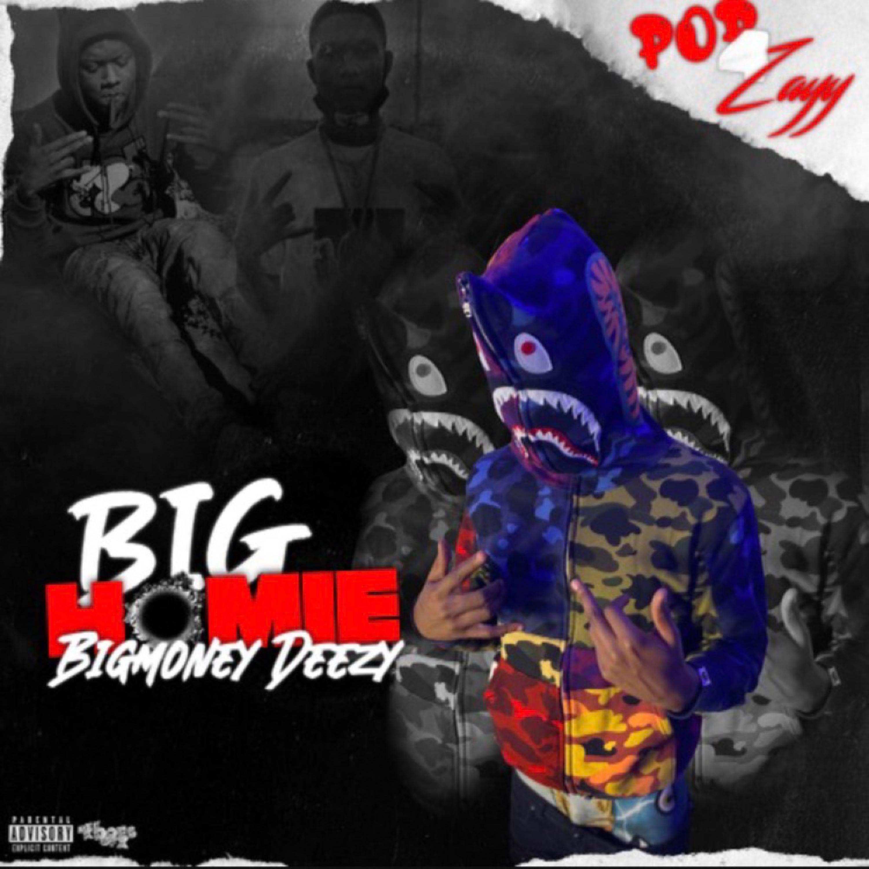 BIG HOMIE artwork