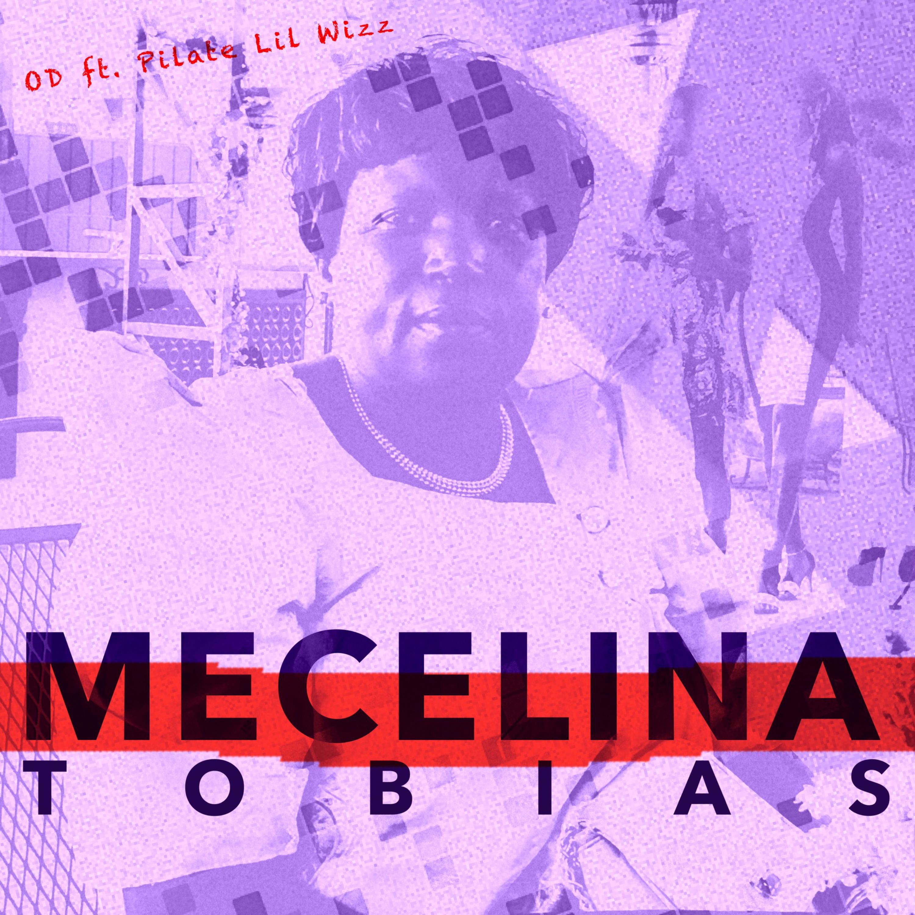 Mecelina Tobias artwork