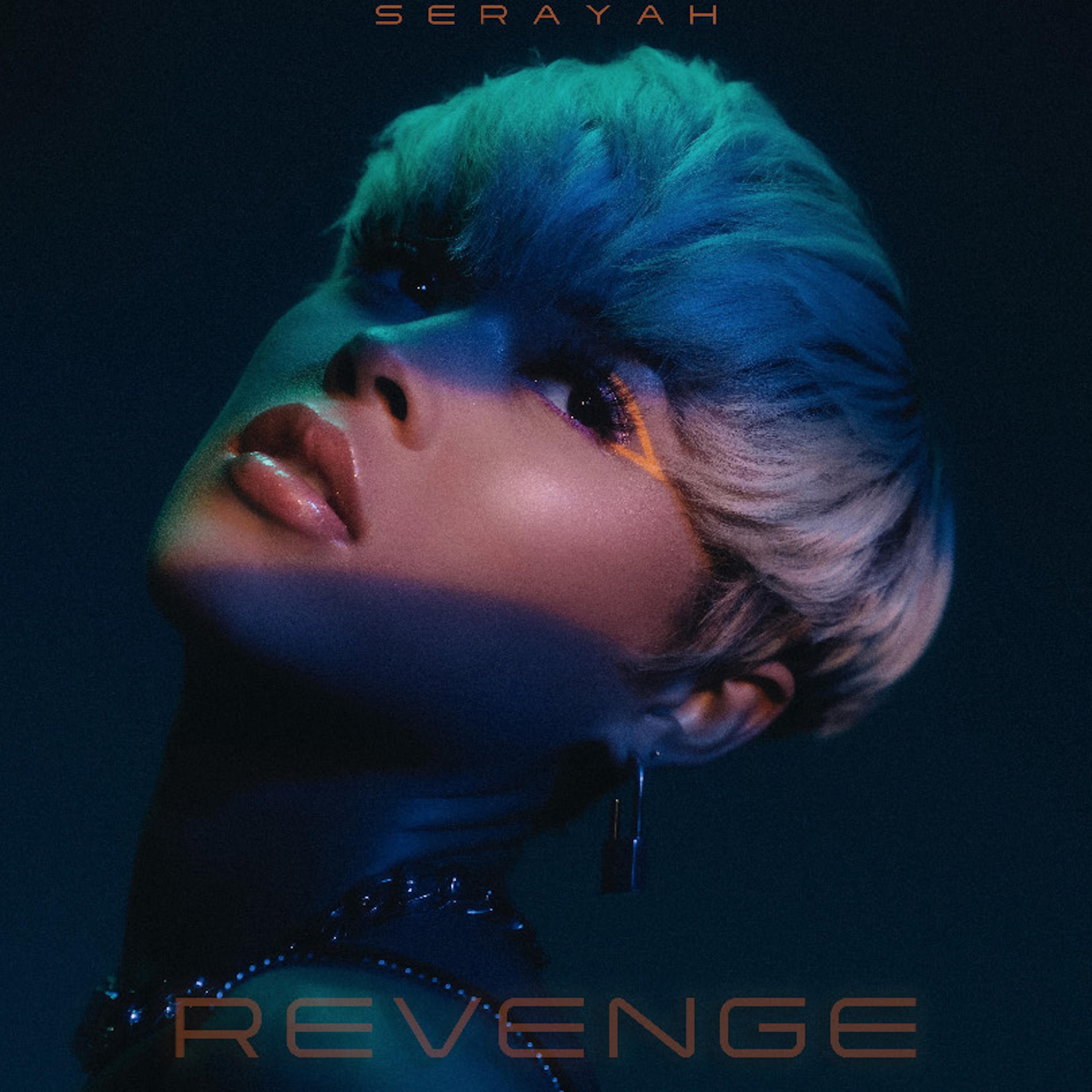 Revenge artwork