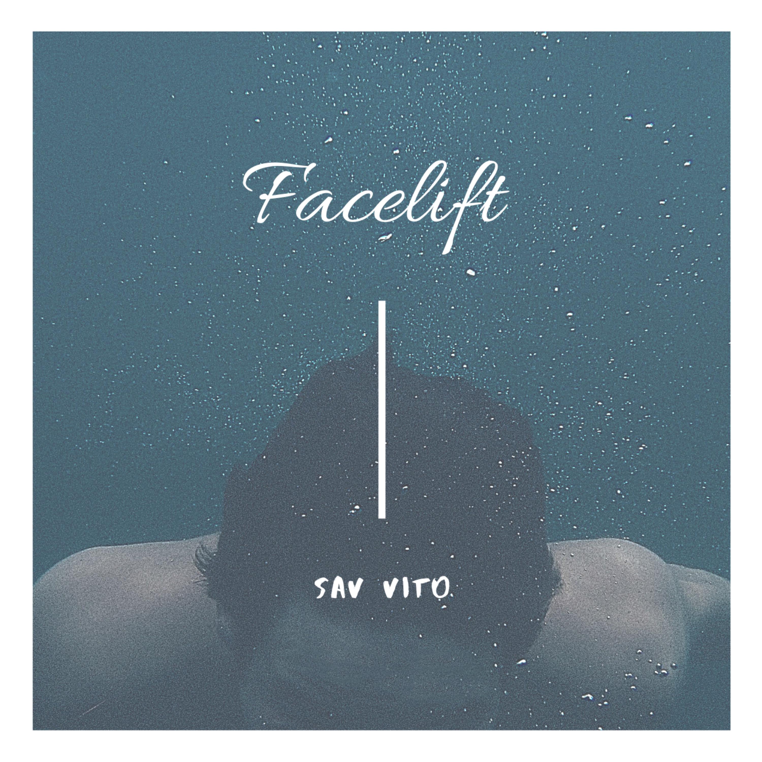 Facelift by Sav Vito  cover art