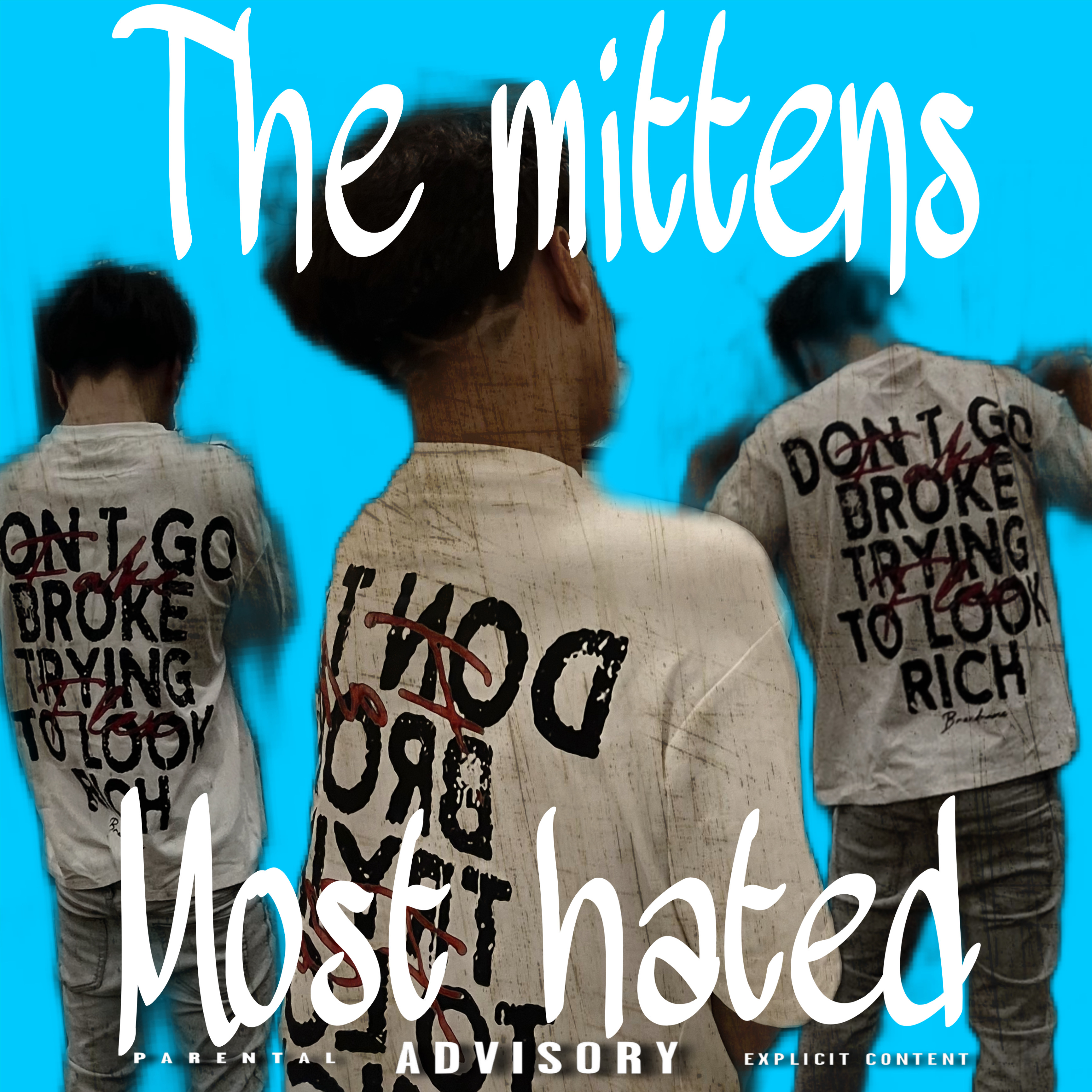 The Mittens Most Hated artwork