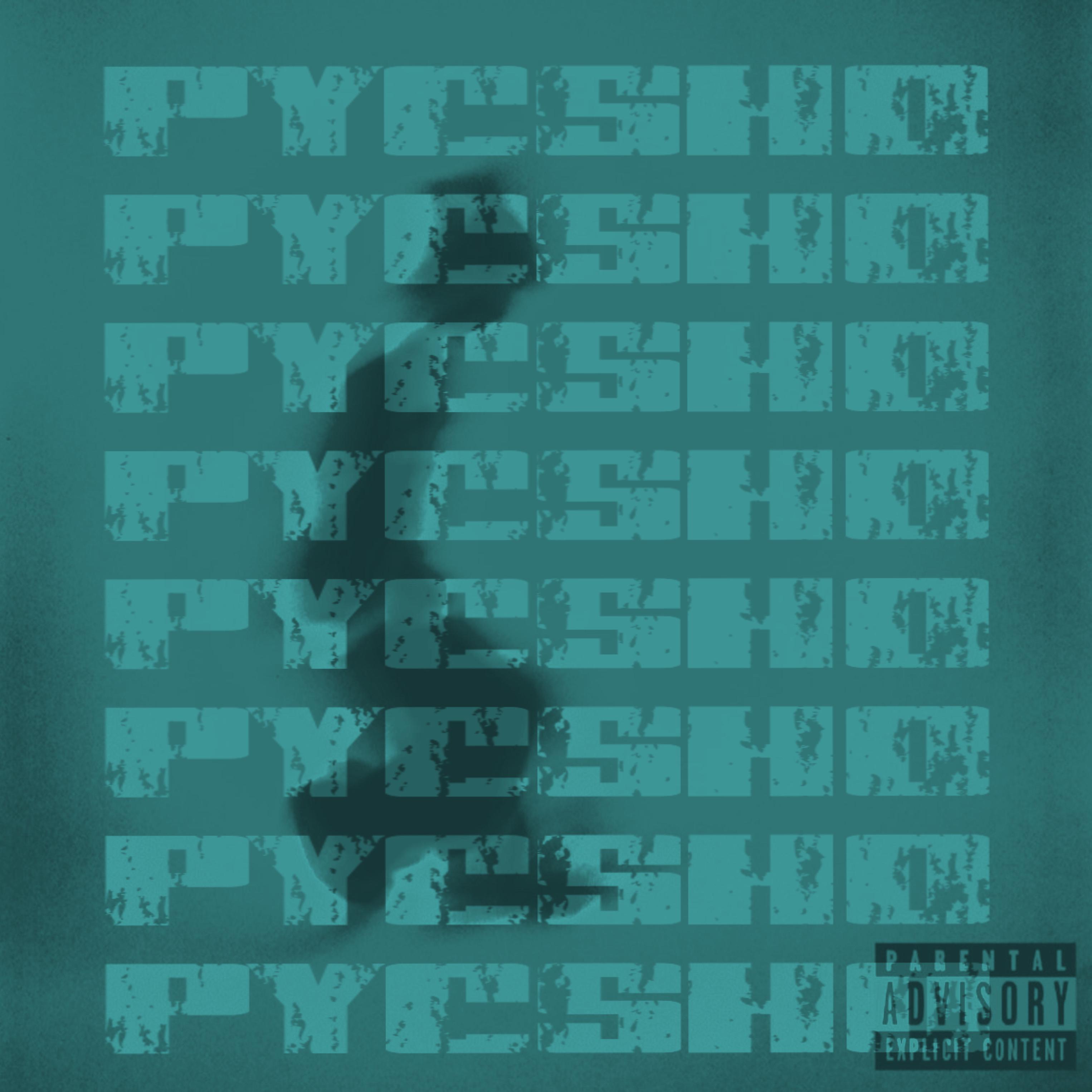 psycho. artwork