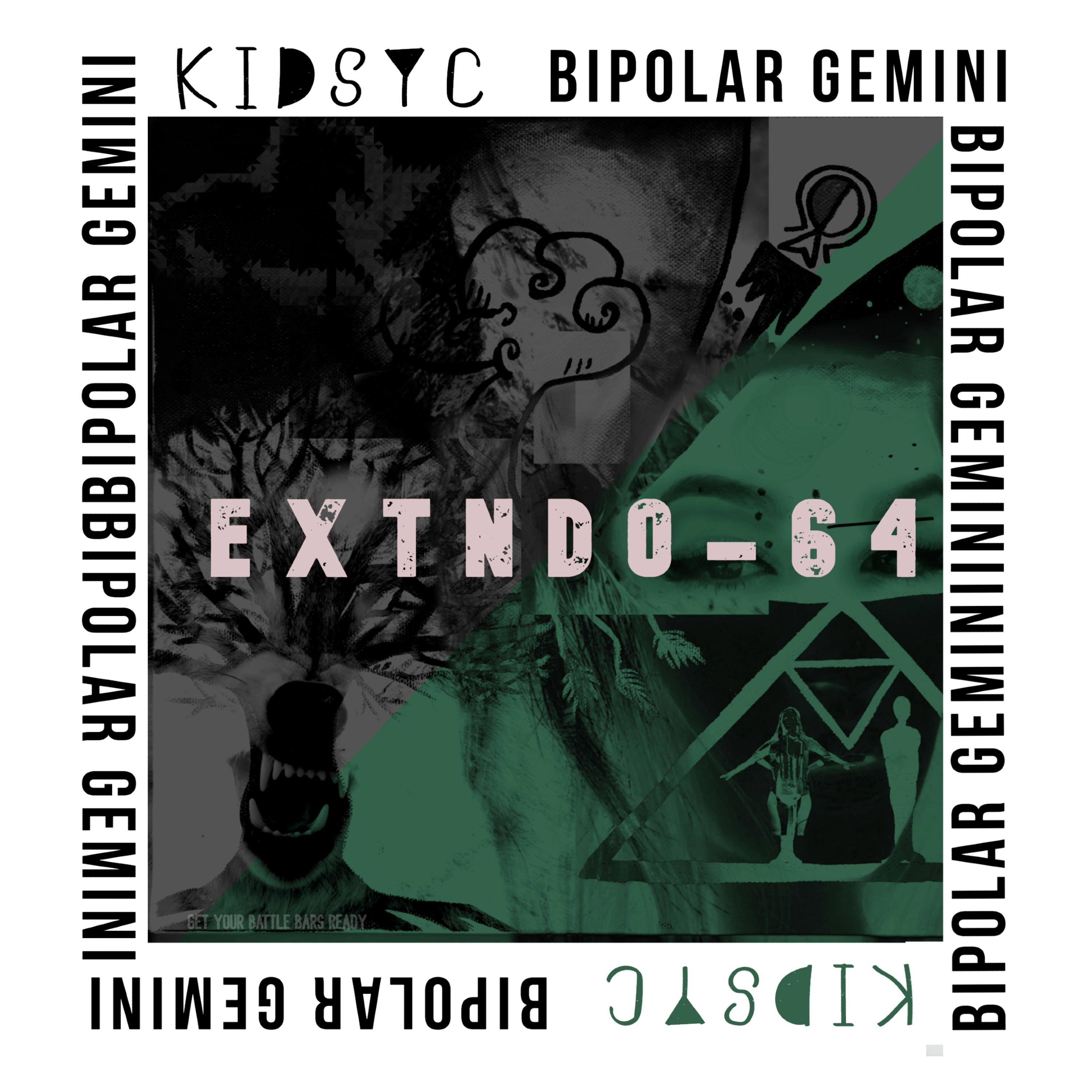 Bipolar Gemini {EXTNDO-64} artwork