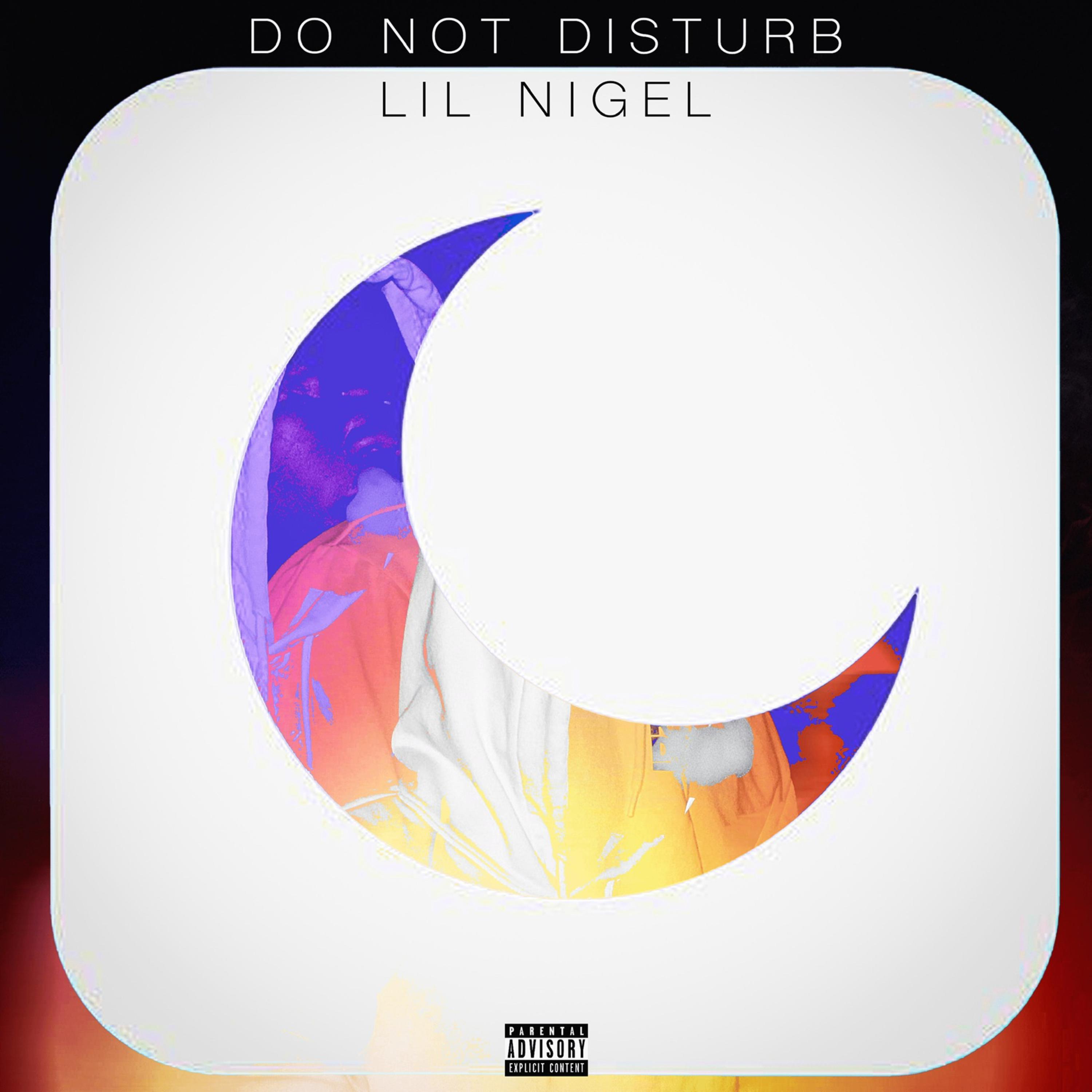 DO NOT DISTURB artwork