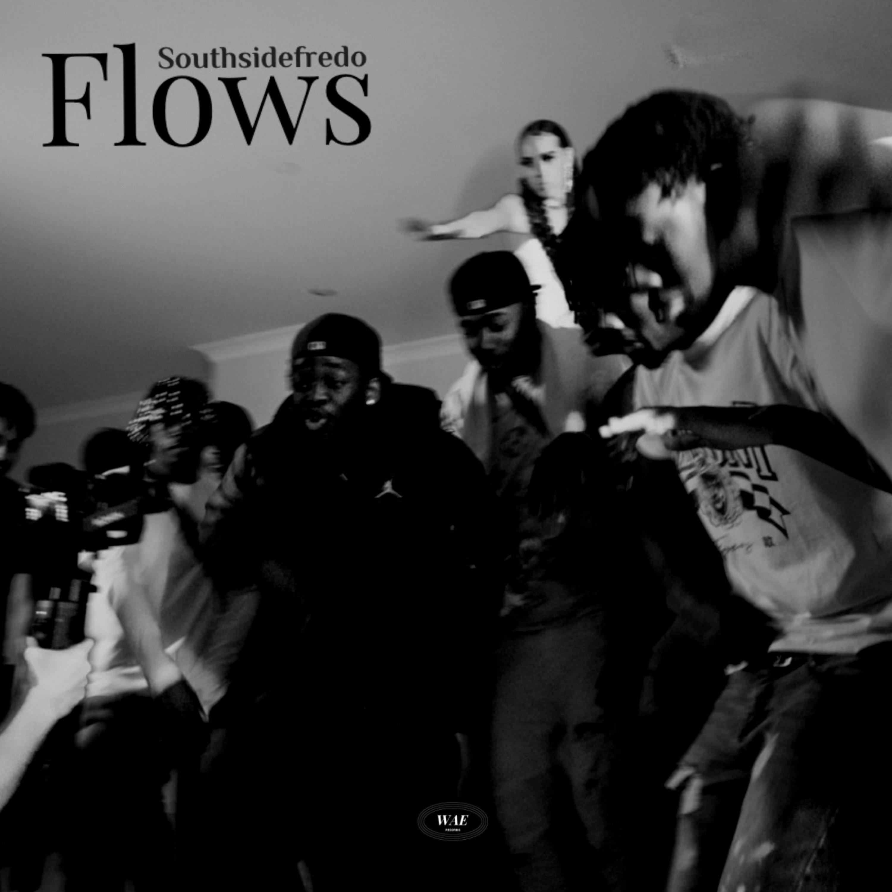Flows by Southsidefredo cover art