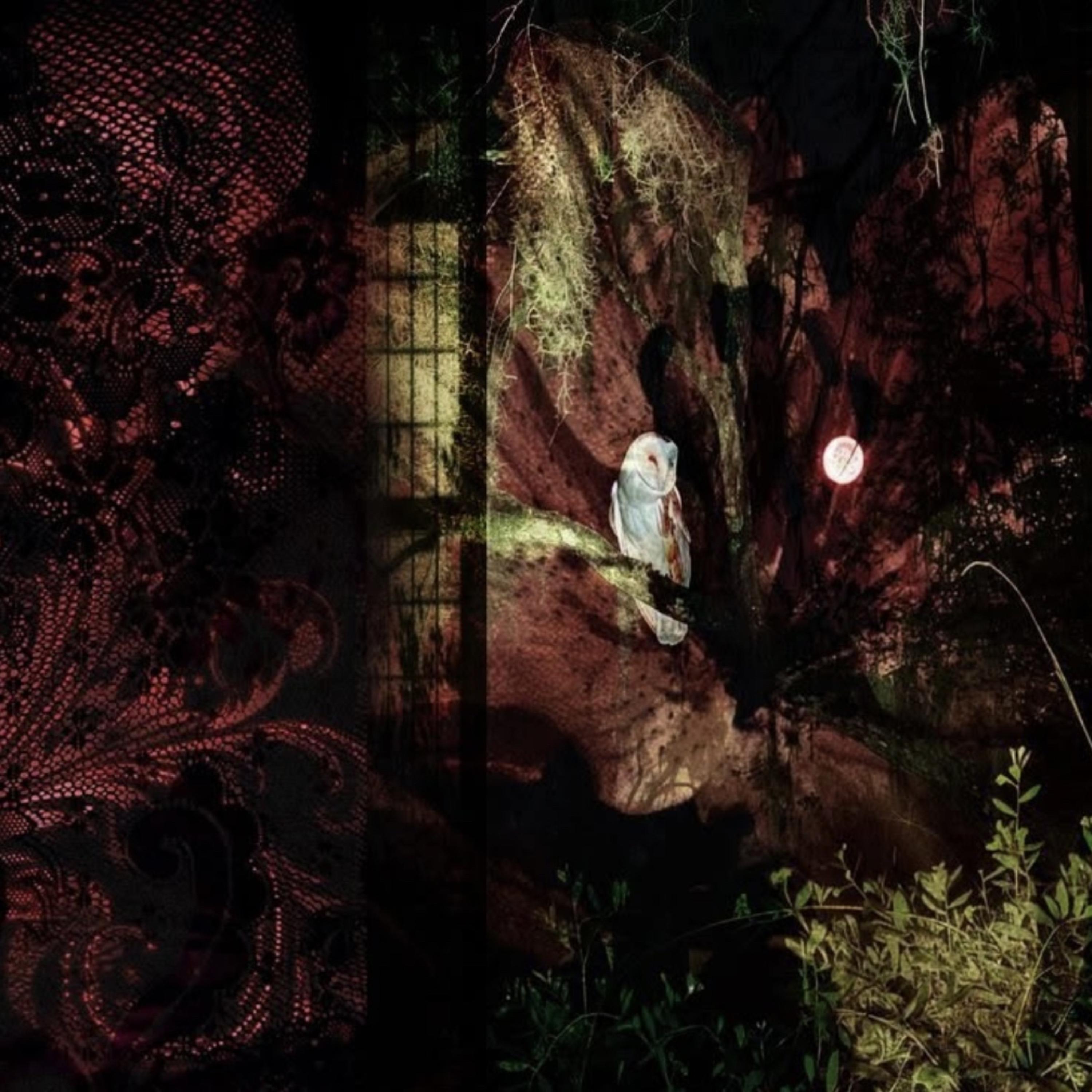 Belong artwork