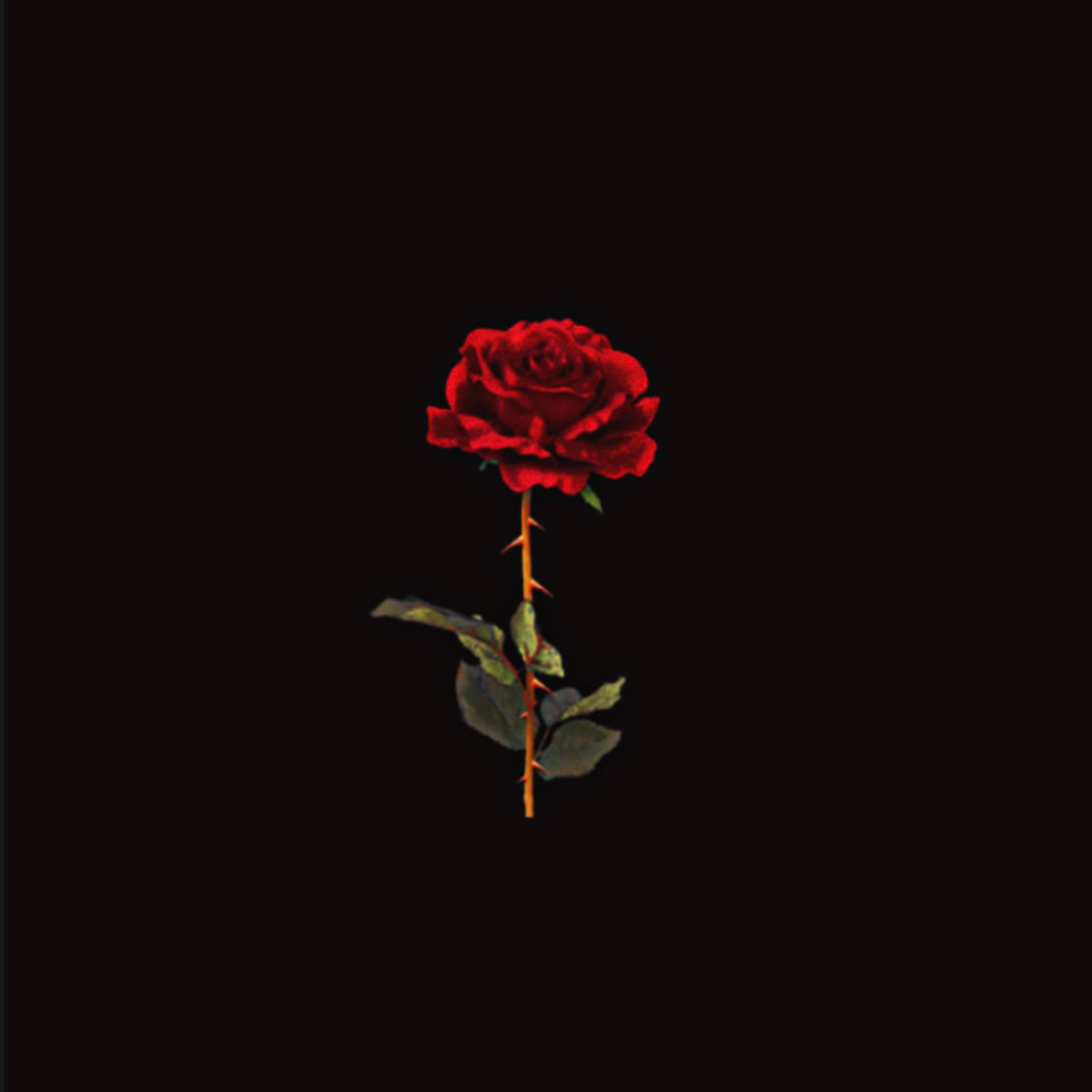 in loving memory artwork
