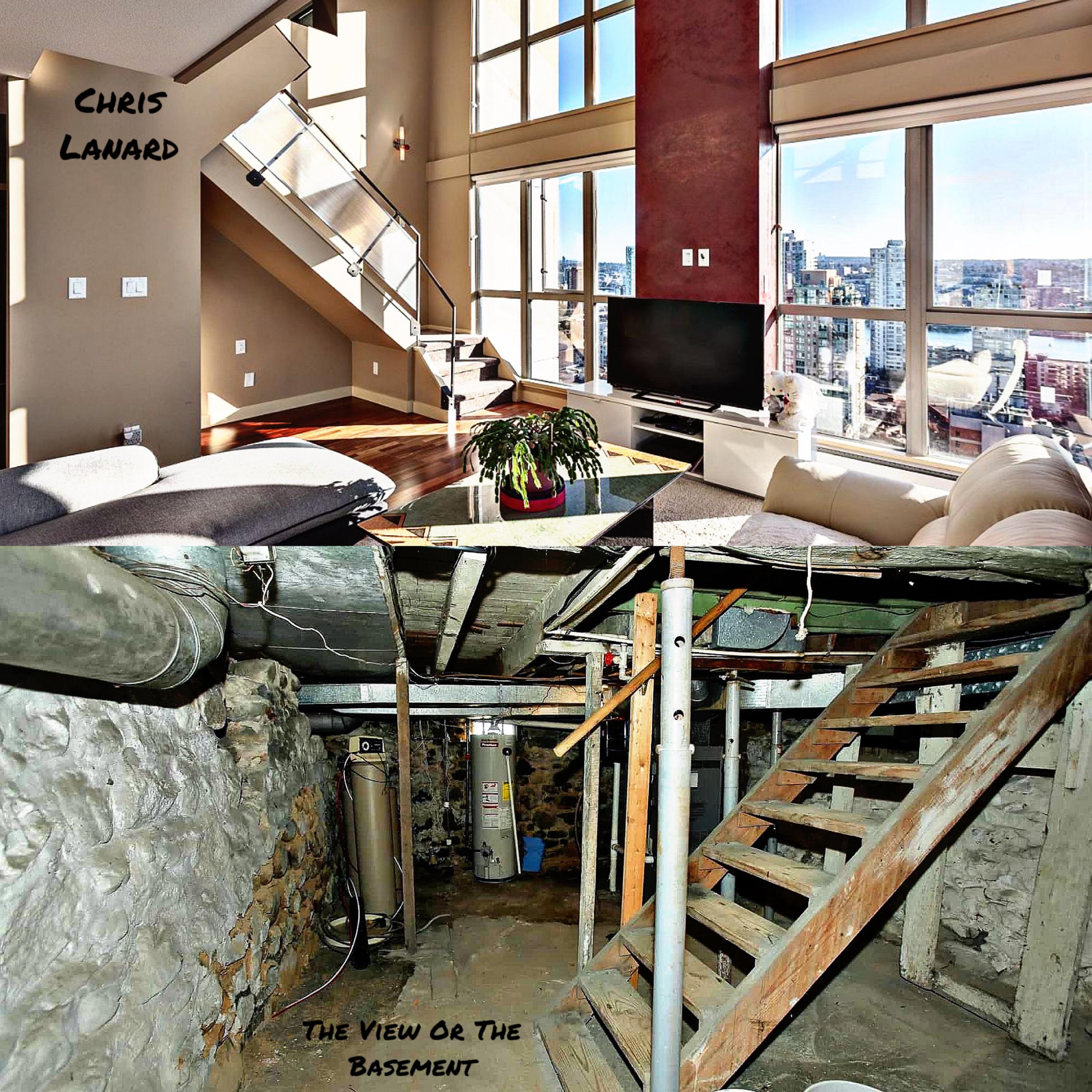 The View Or The Basement artwork