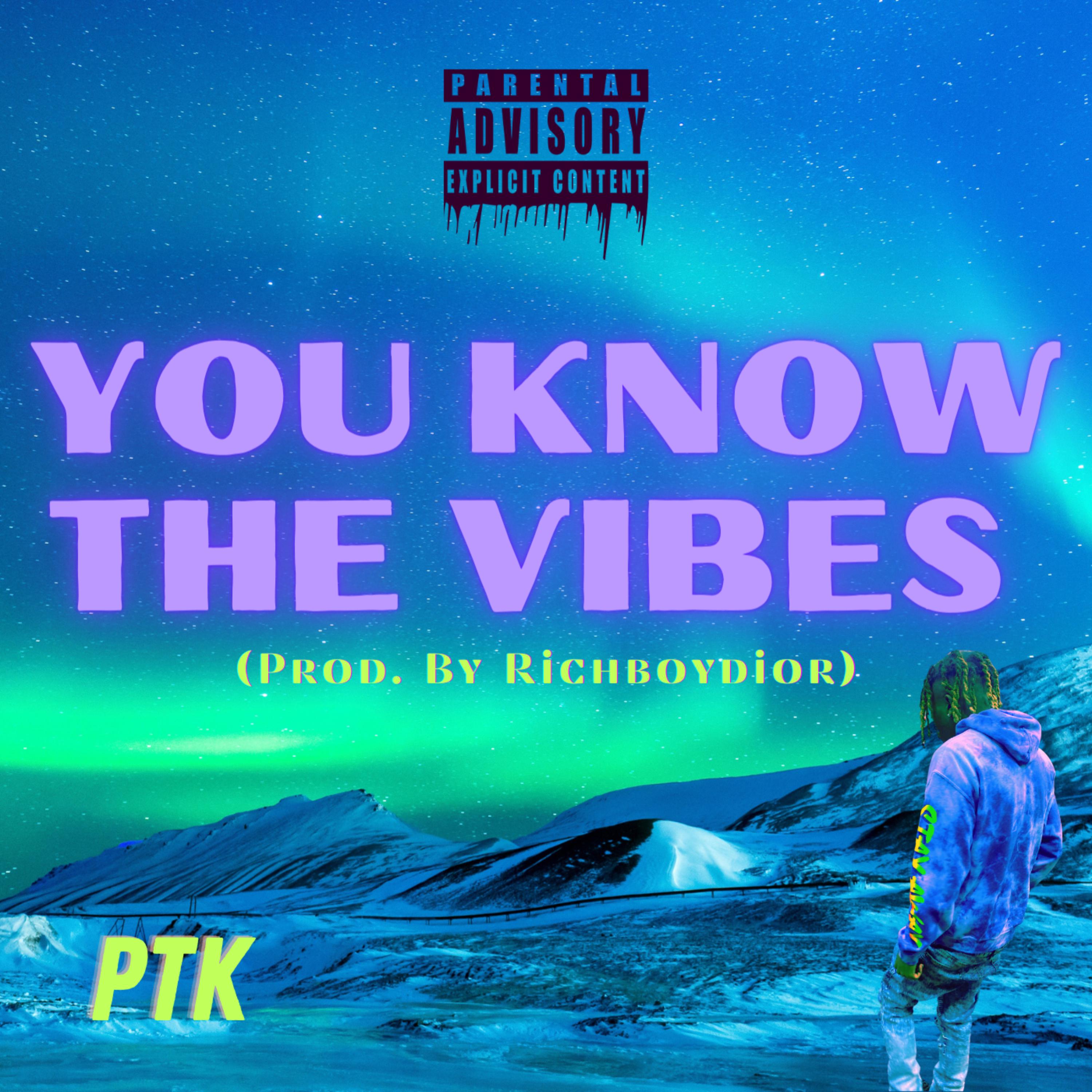 You Know The Vibes artwork