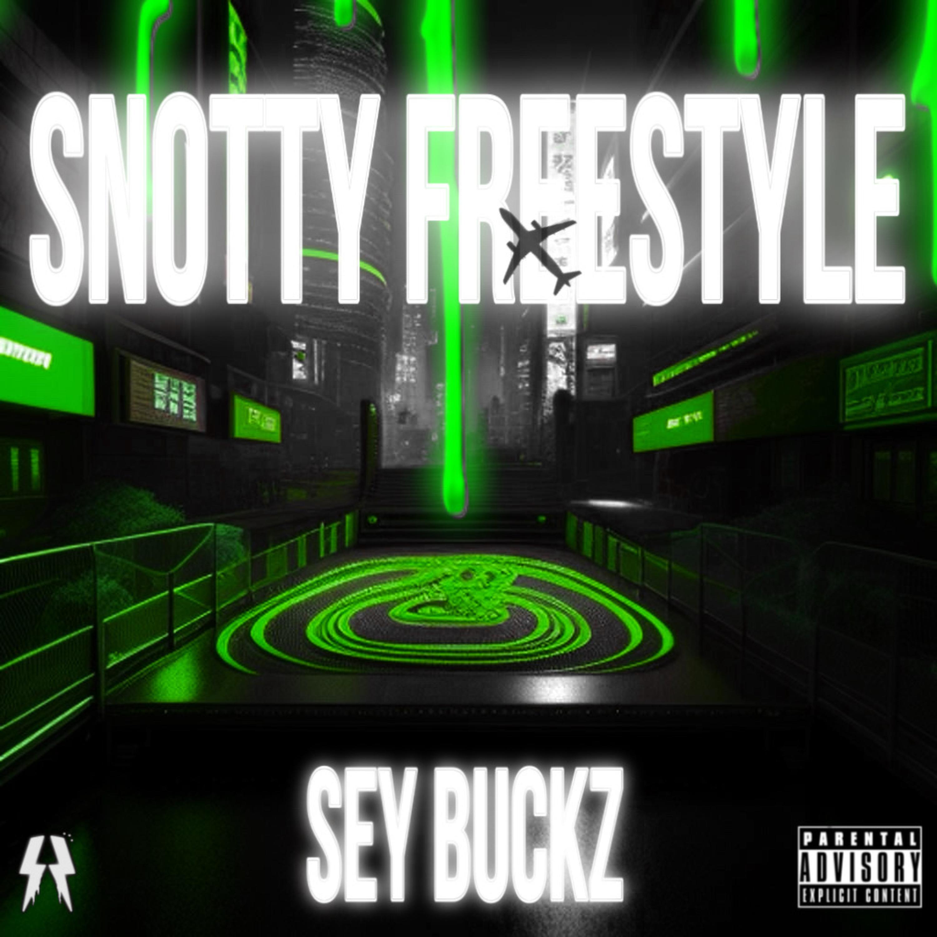 Snotty Freestyle artwork