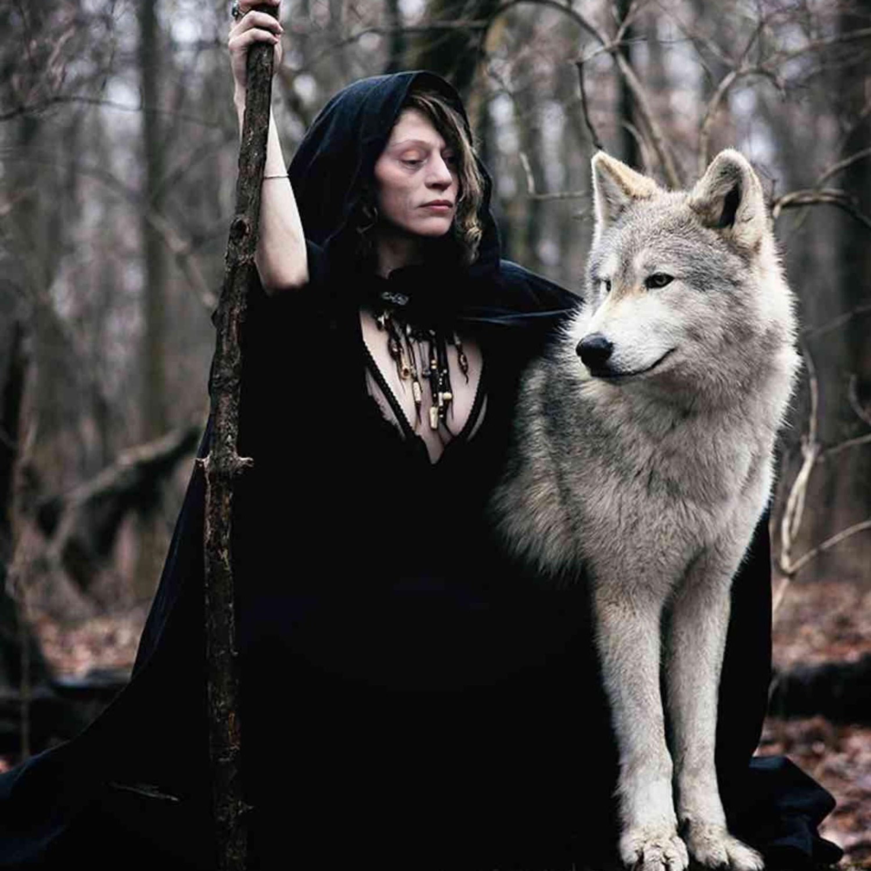 Back To The Beginning artwork