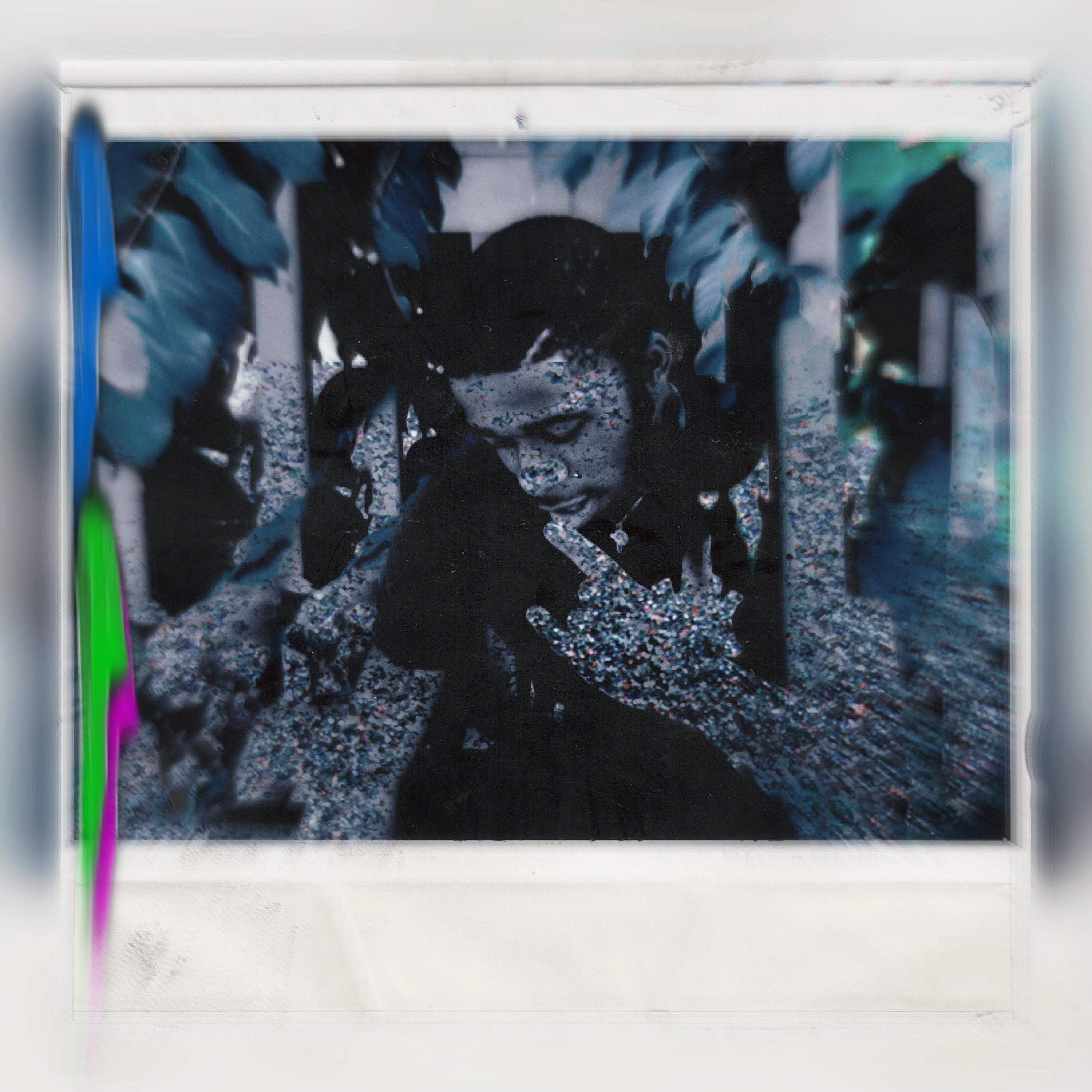 Wild In Out artwork