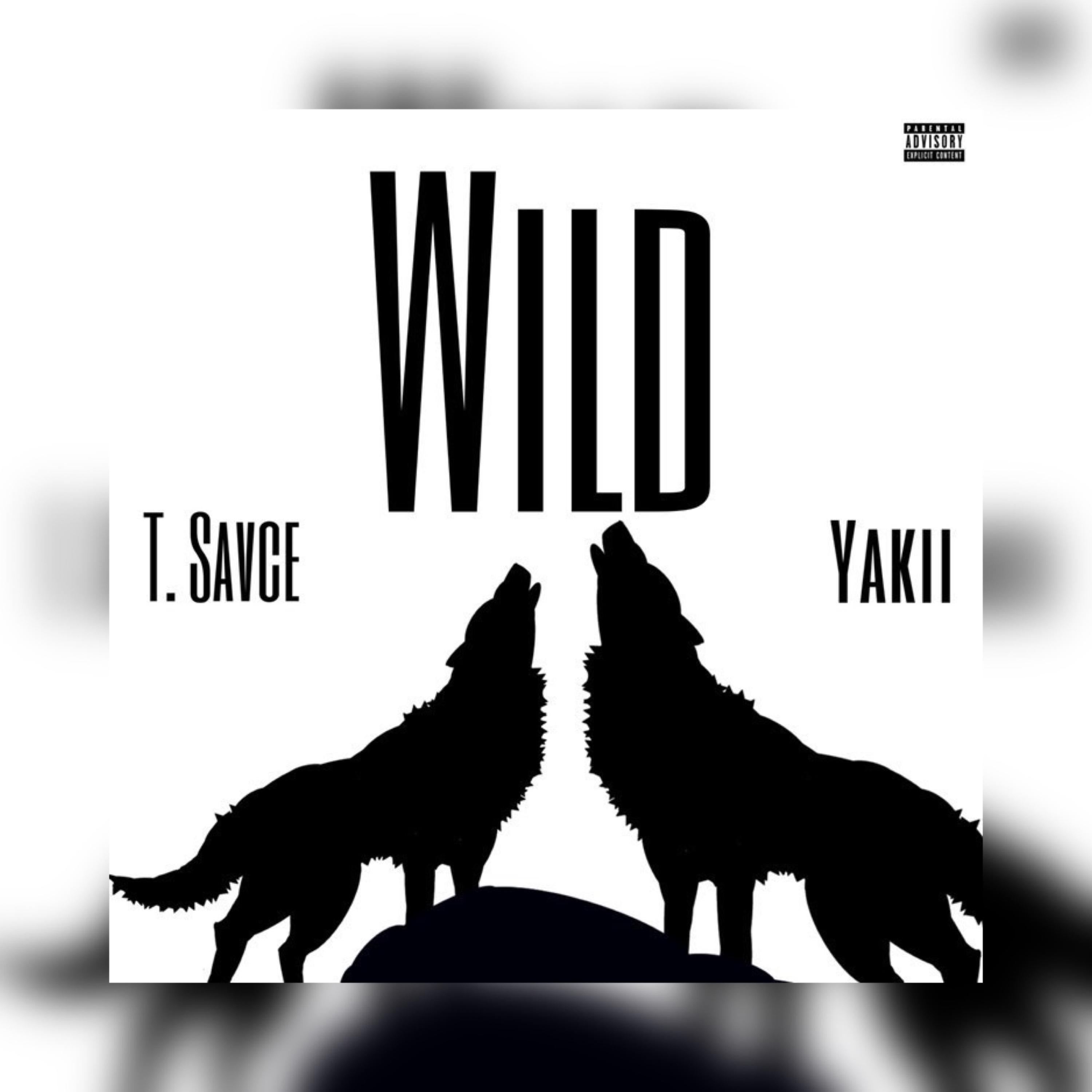 WILD artwork