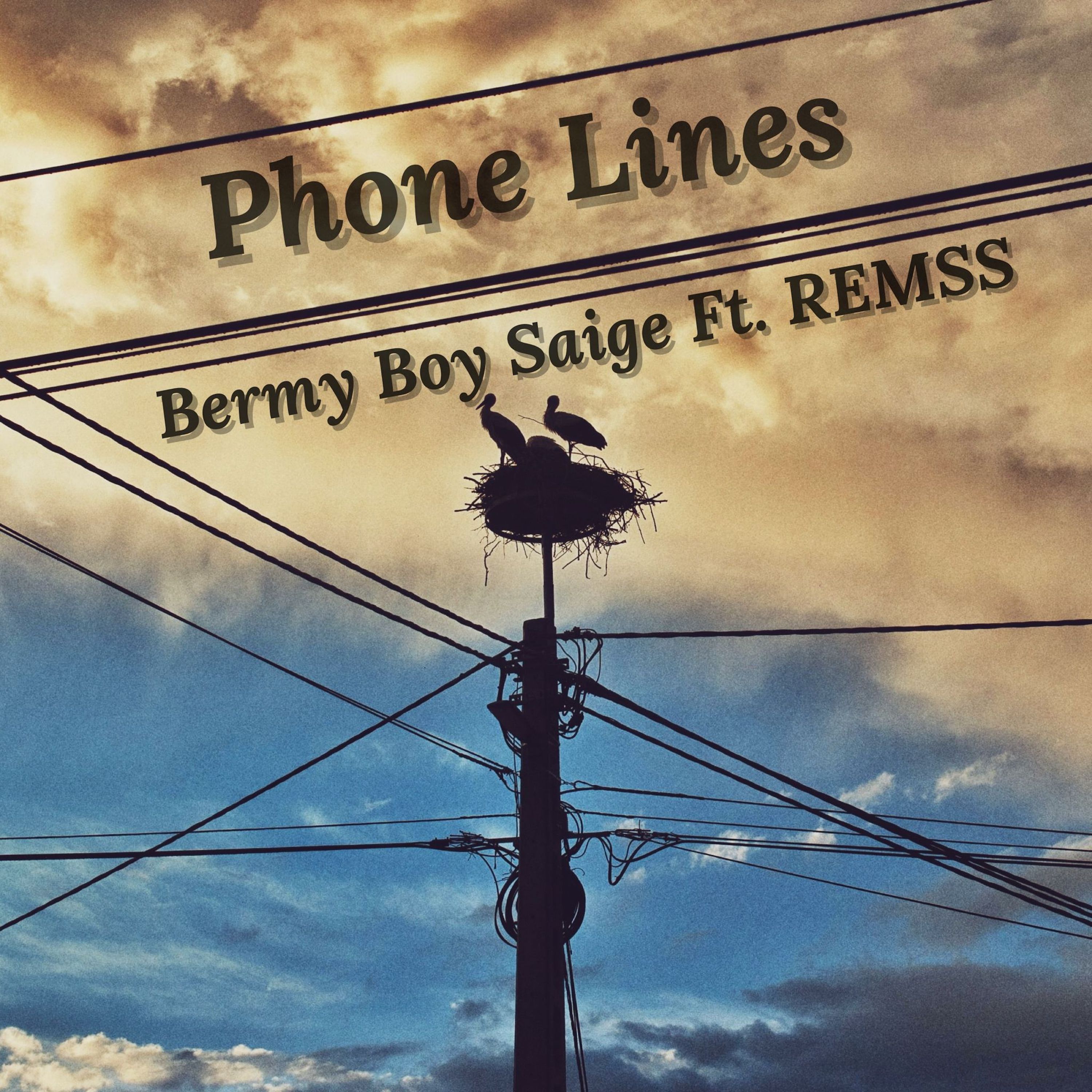 Phone Lines artwork