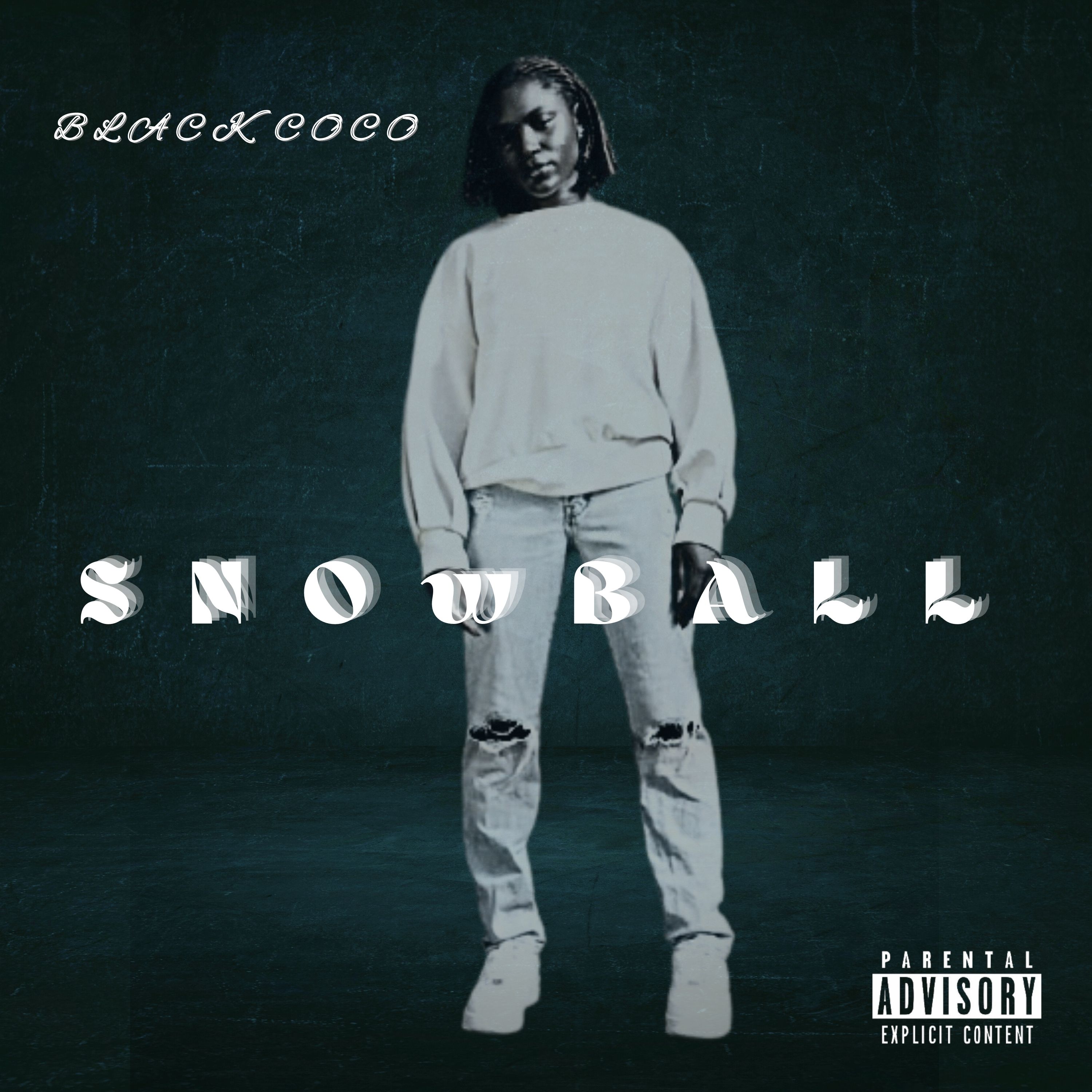 Snowball artwork