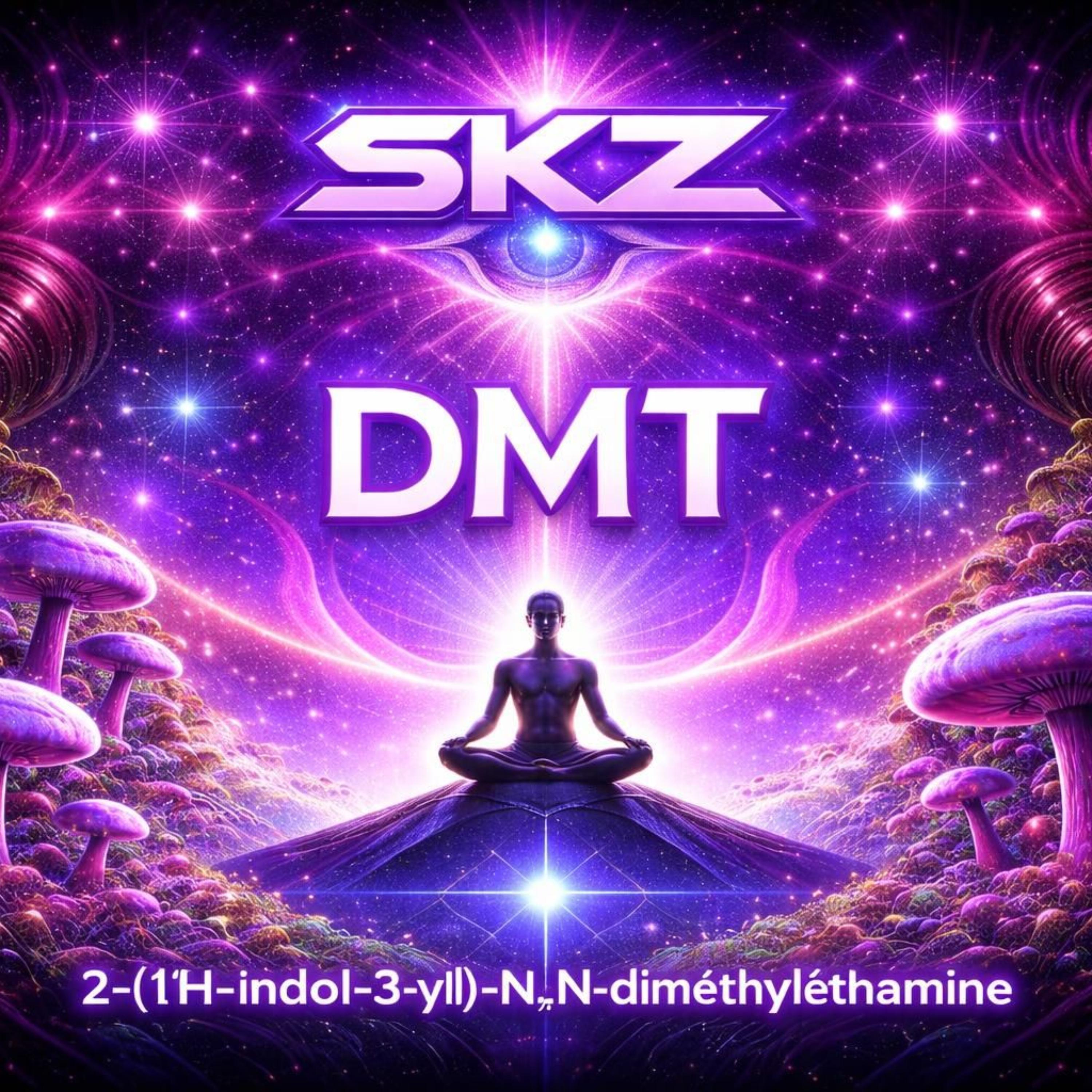 Freestyle Dimethyltryptamine (DMT) artwork
