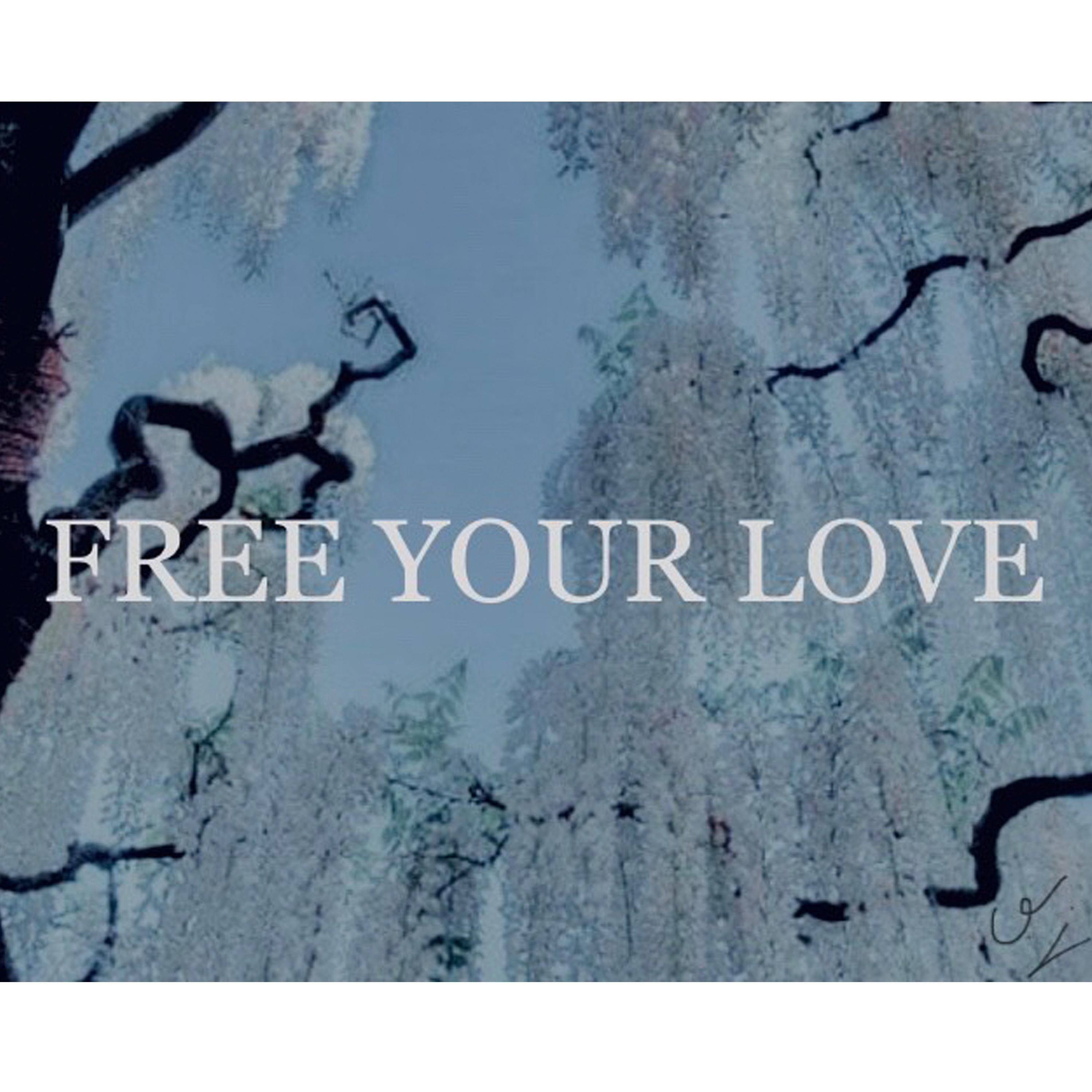 Free Your Love! artwork