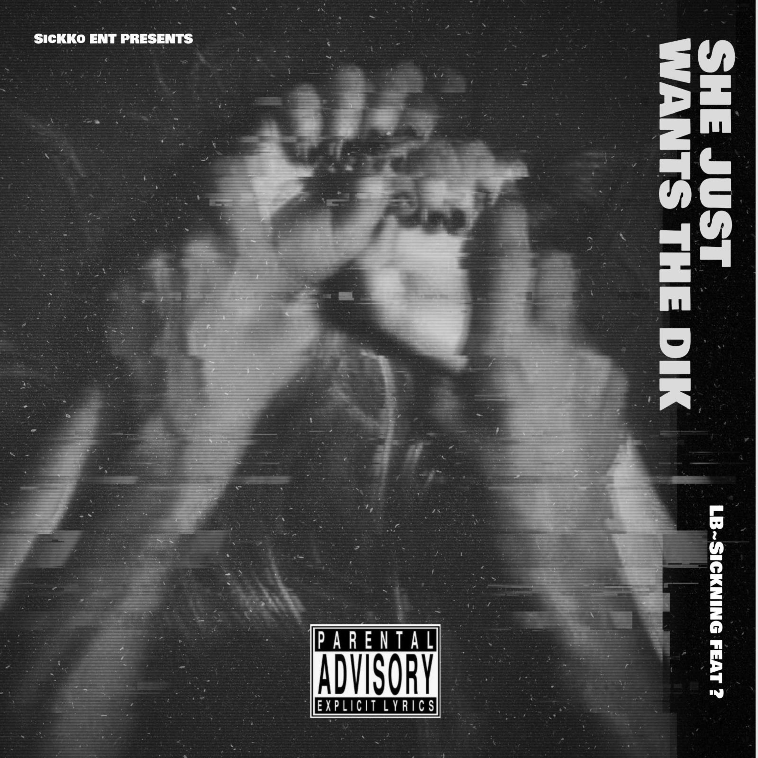 She Just Wants The Dik artwork