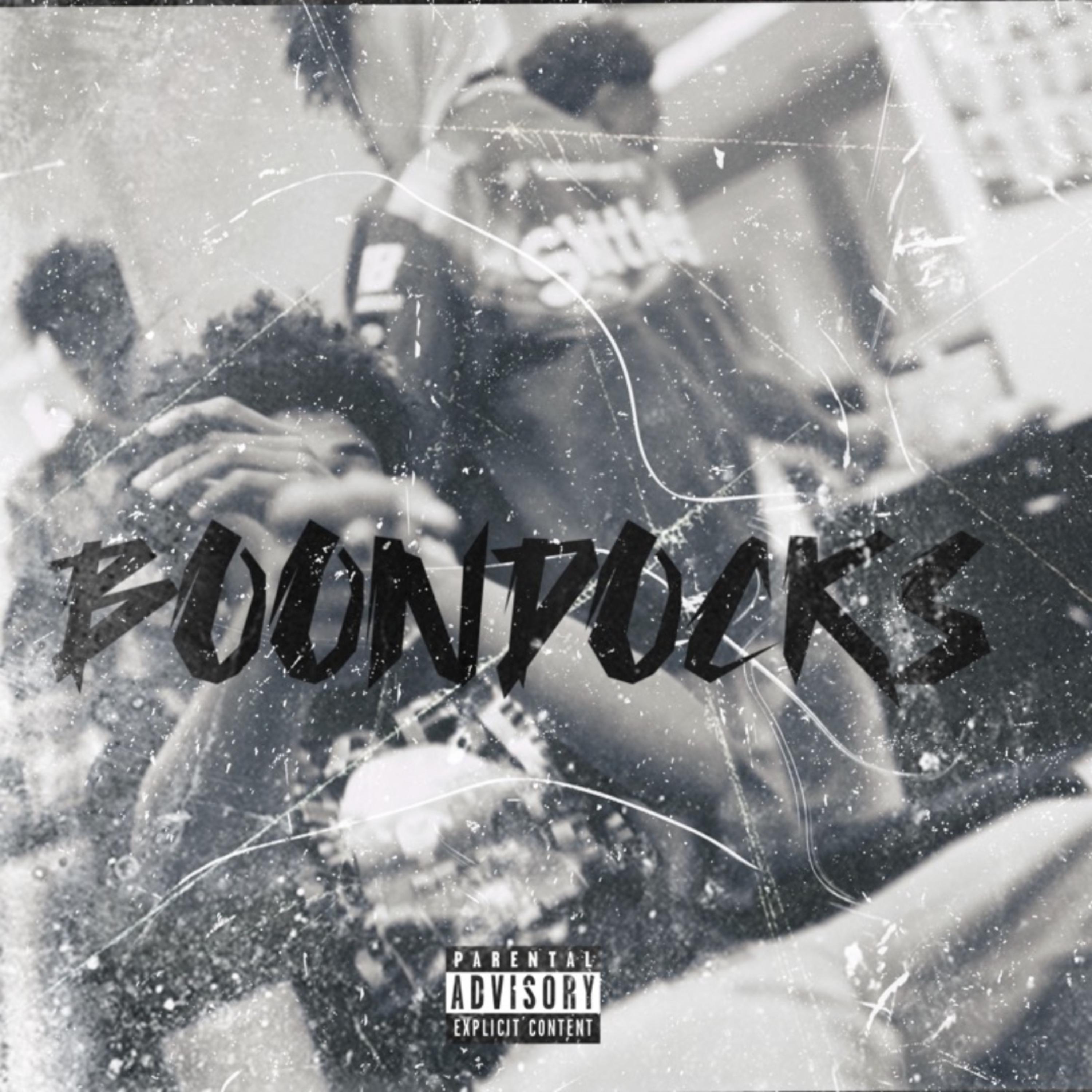 Boondocks artwork