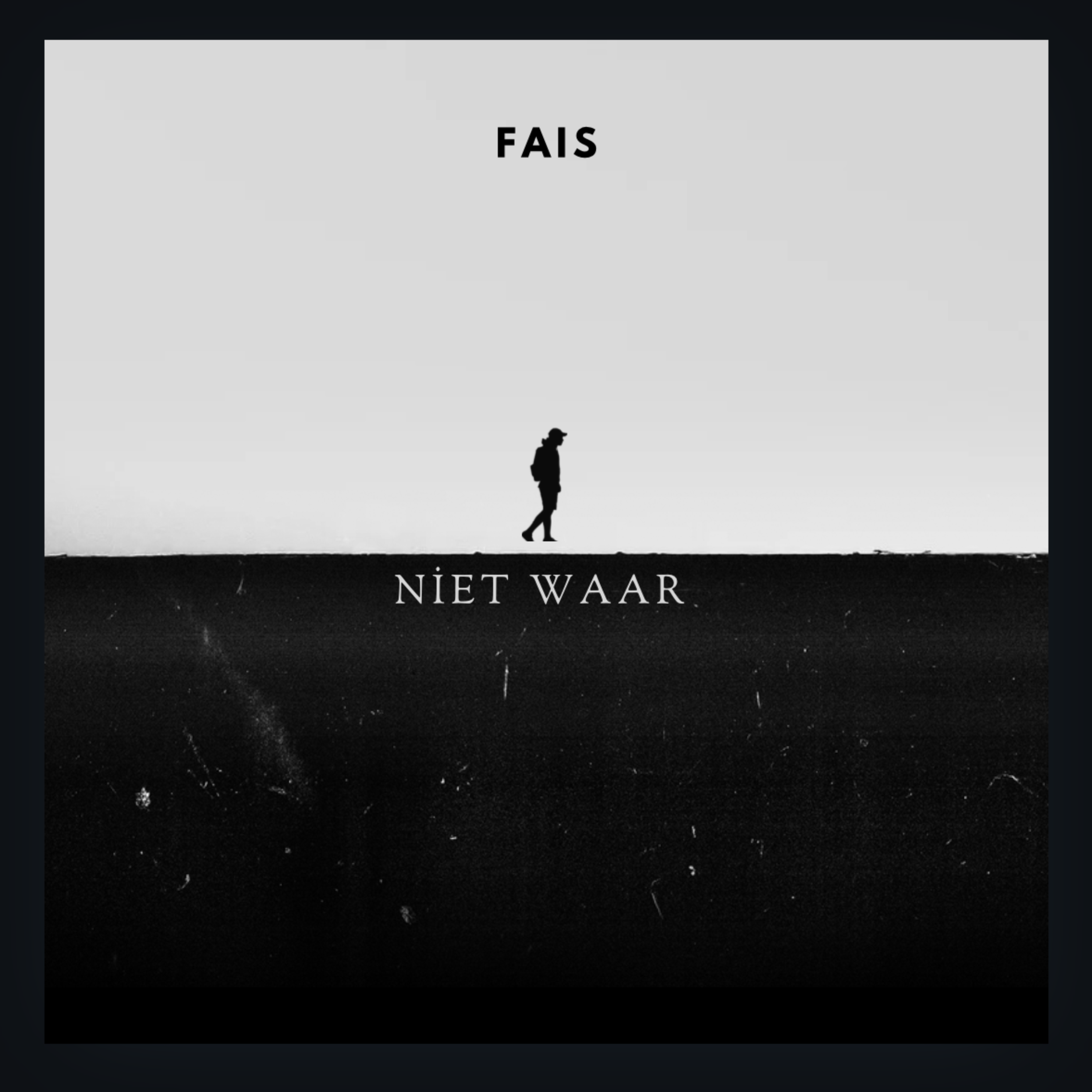 NIET WAAR artwork